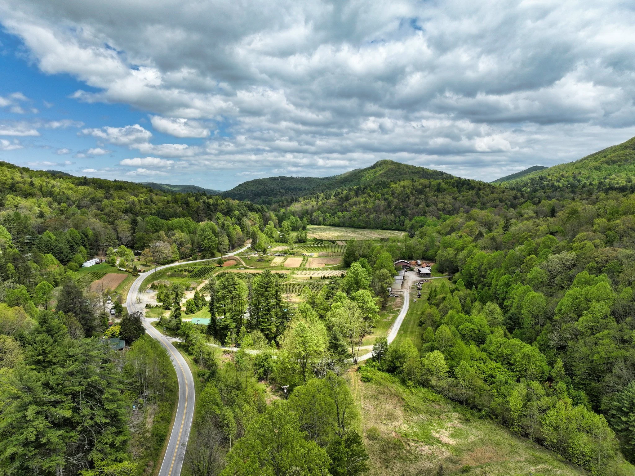 View looking East at Green River Road on the left of the image, and outbuildings on Blueberry Farm Rd in the right/center of image.