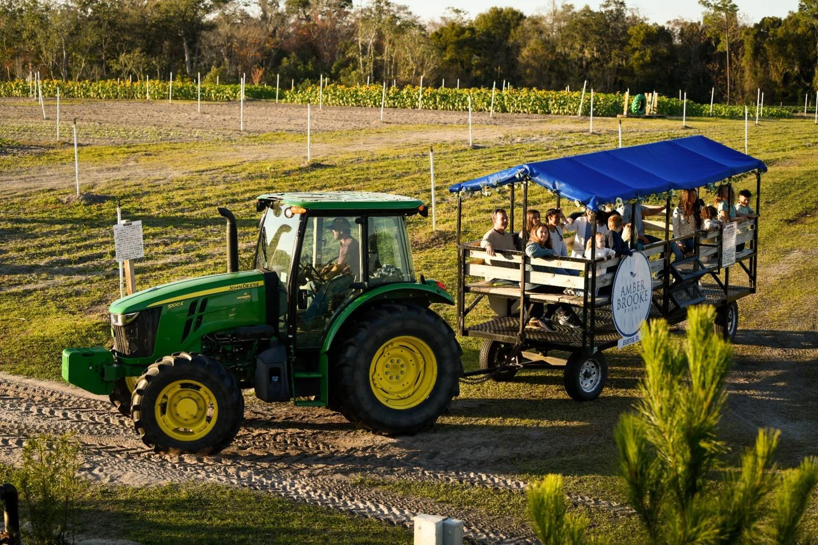 1-30-24 Amber Brooke Farms3438_web.jpg
