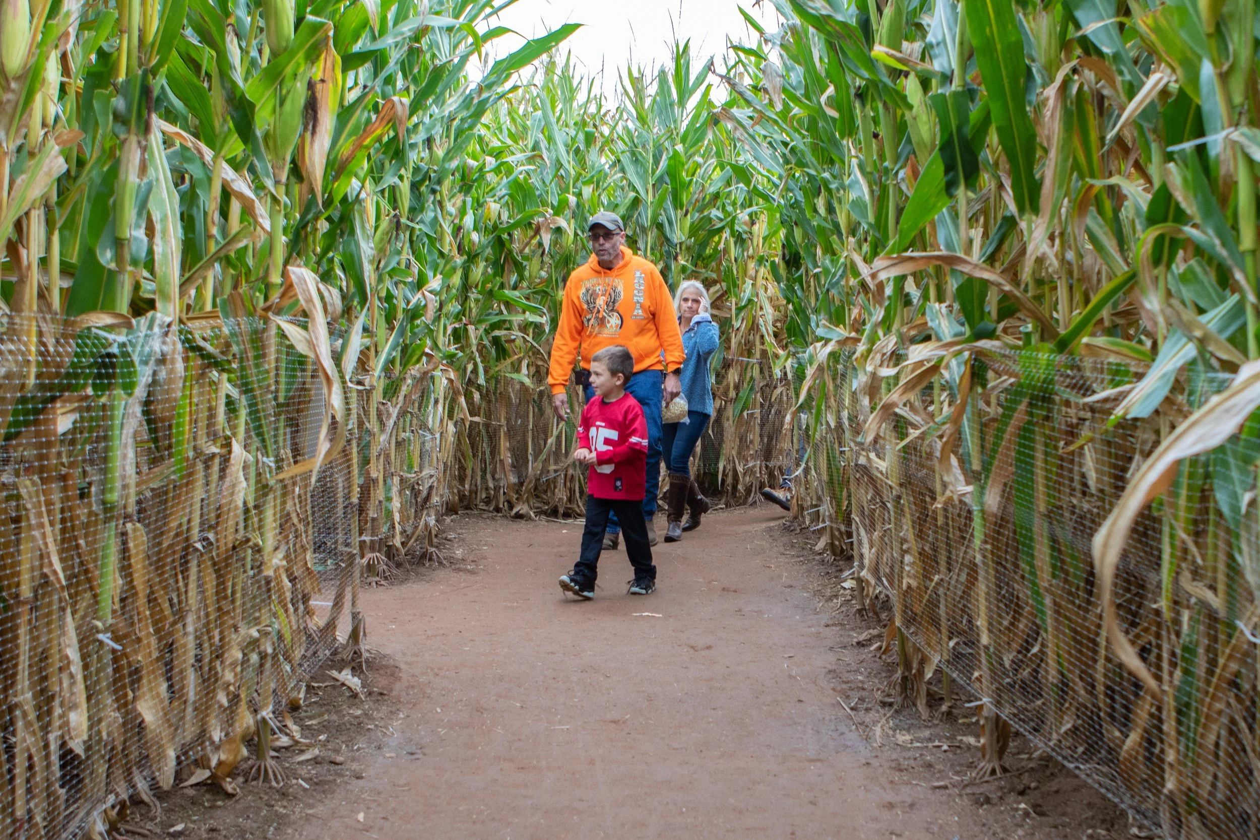 Corn Maze 2019_4459.jpg