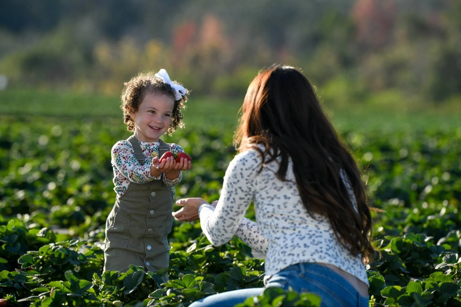 1-30-24 Amber Brooke Farms2939_web.jpg
