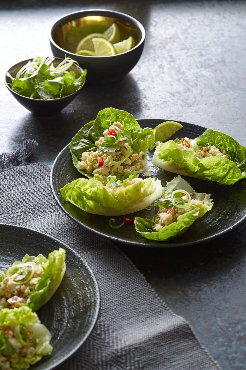 _141_vietnamese_chicken_lettuce_wraps_3414.jpg