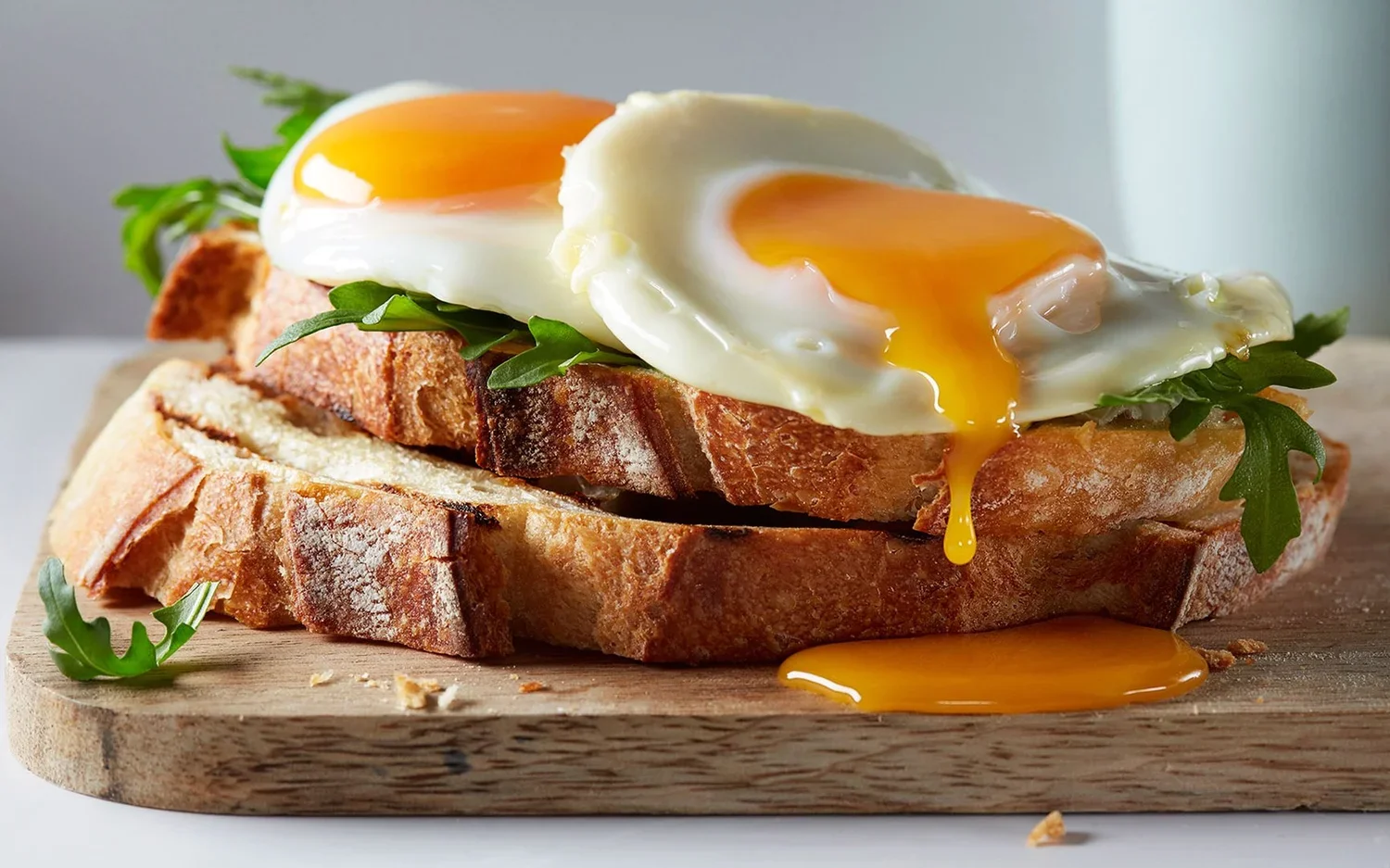 07.+Egg_1467-final-crop+2.jpg.webp