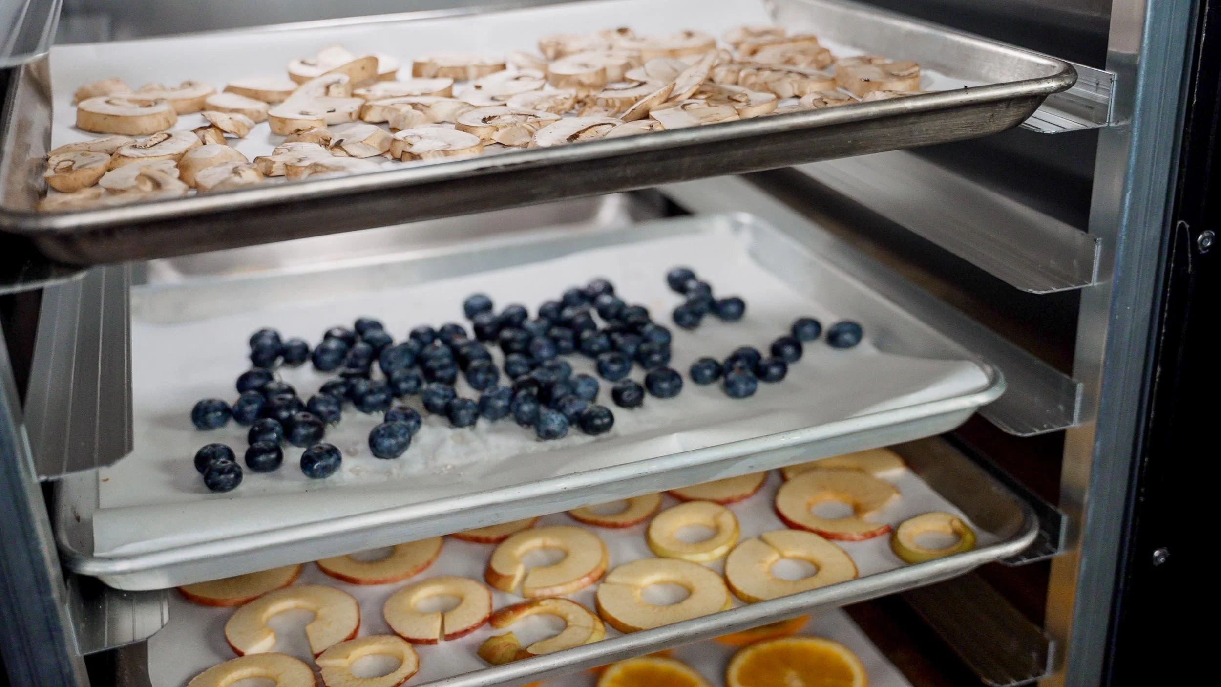 Game Changer ® Commercial Dehydrator — Game Changer Smoker