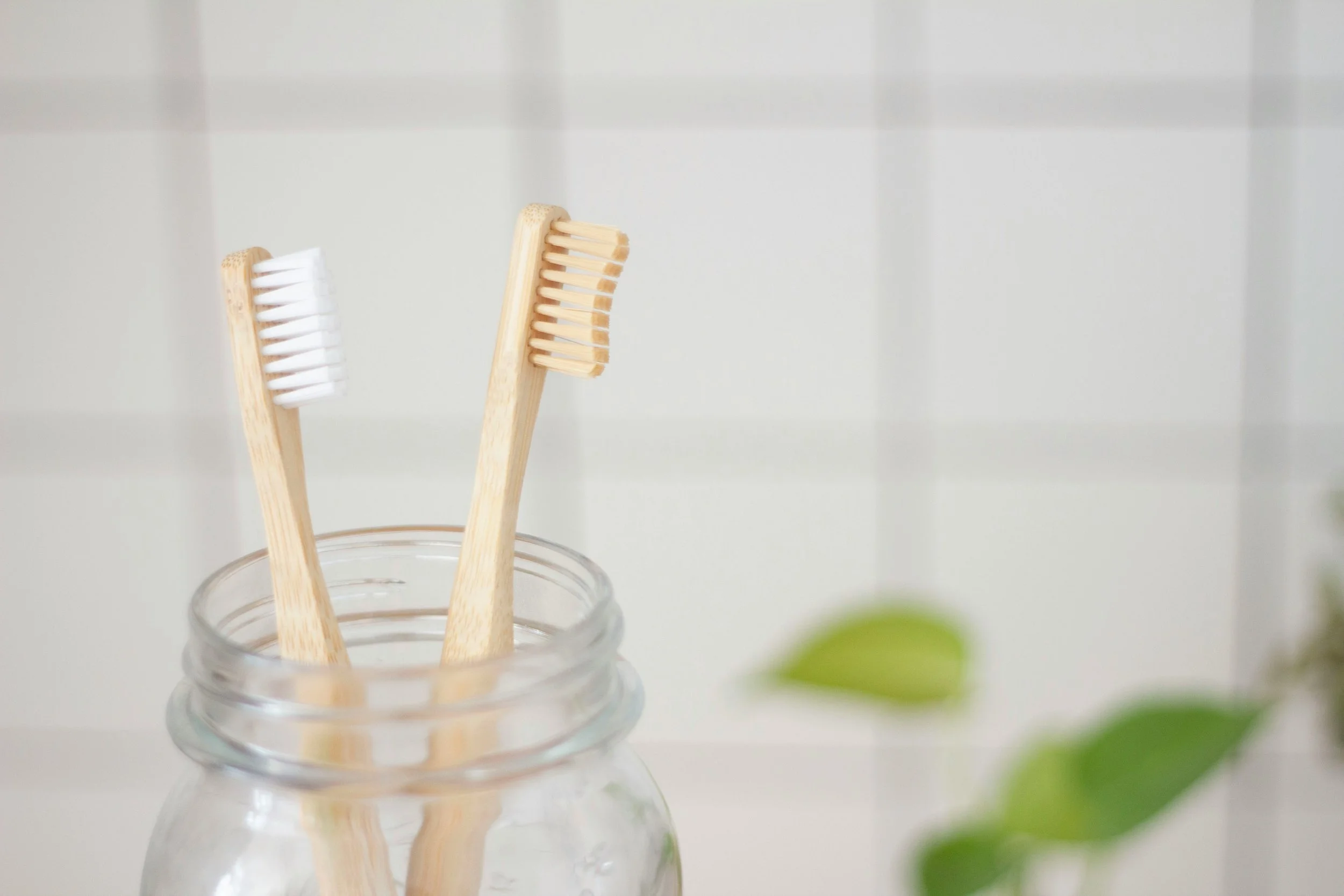 Two toothbrushes in a glass jar.