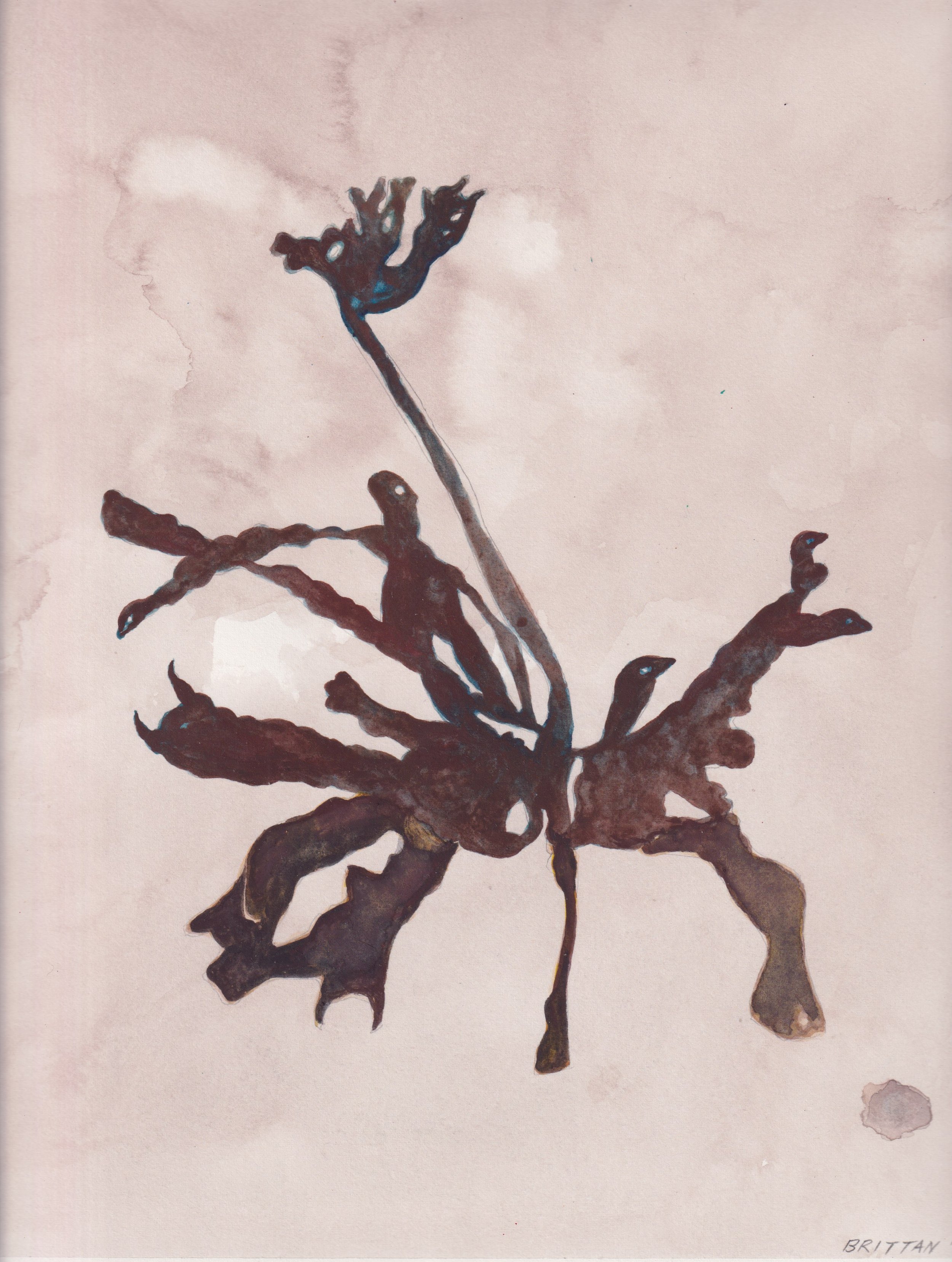 Matthew Brittan watercolours
