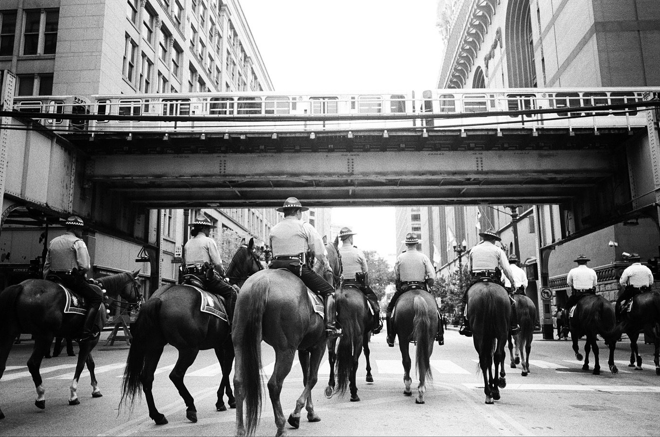 Windy City #chicago #leicamp #28mmsummicron @labo_negatifplus