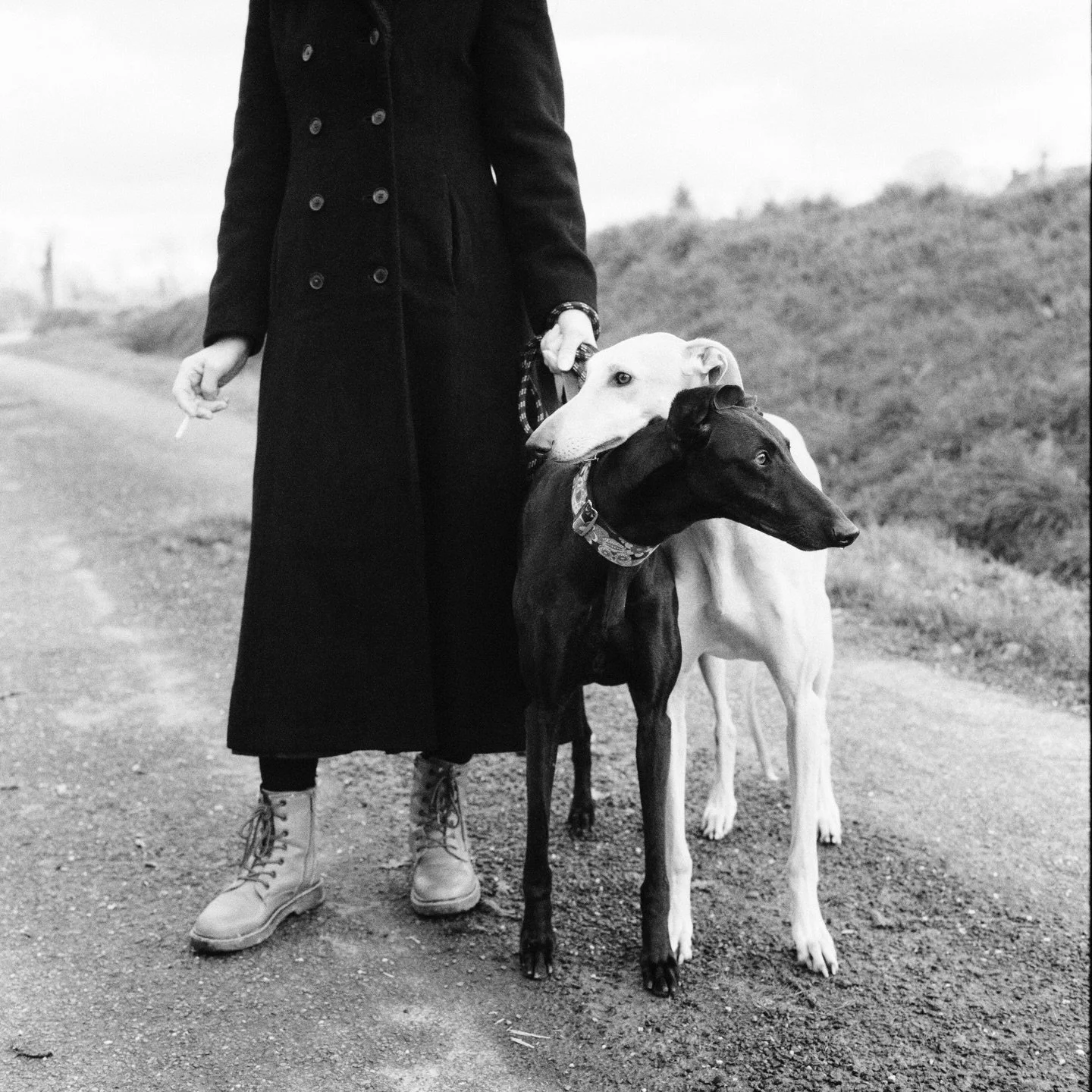 La photo de rue, c&rsquo;est souvent l&rsquo;inconnu. Mais pensez aussi &agrave; photographier vos proches : ce sont ces images qui vous parleront le plus avec le temps. Joyeux No&euml;l 🫶🏻 #leicamp #rolleiflex #ilfordhp5 #ilfrod3200 #kodaktrix400