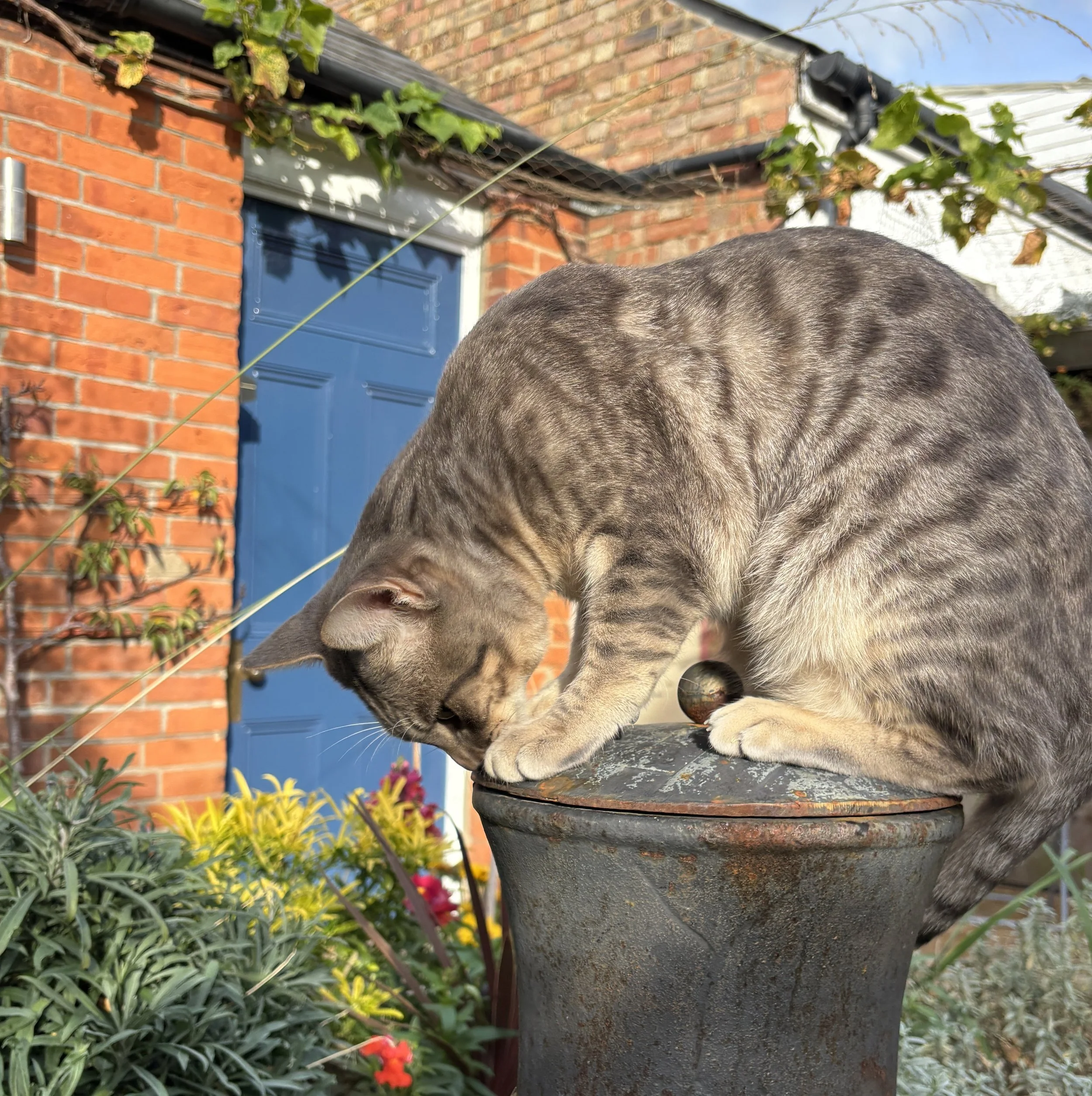 Garden Greg on Chiminea.JPEG