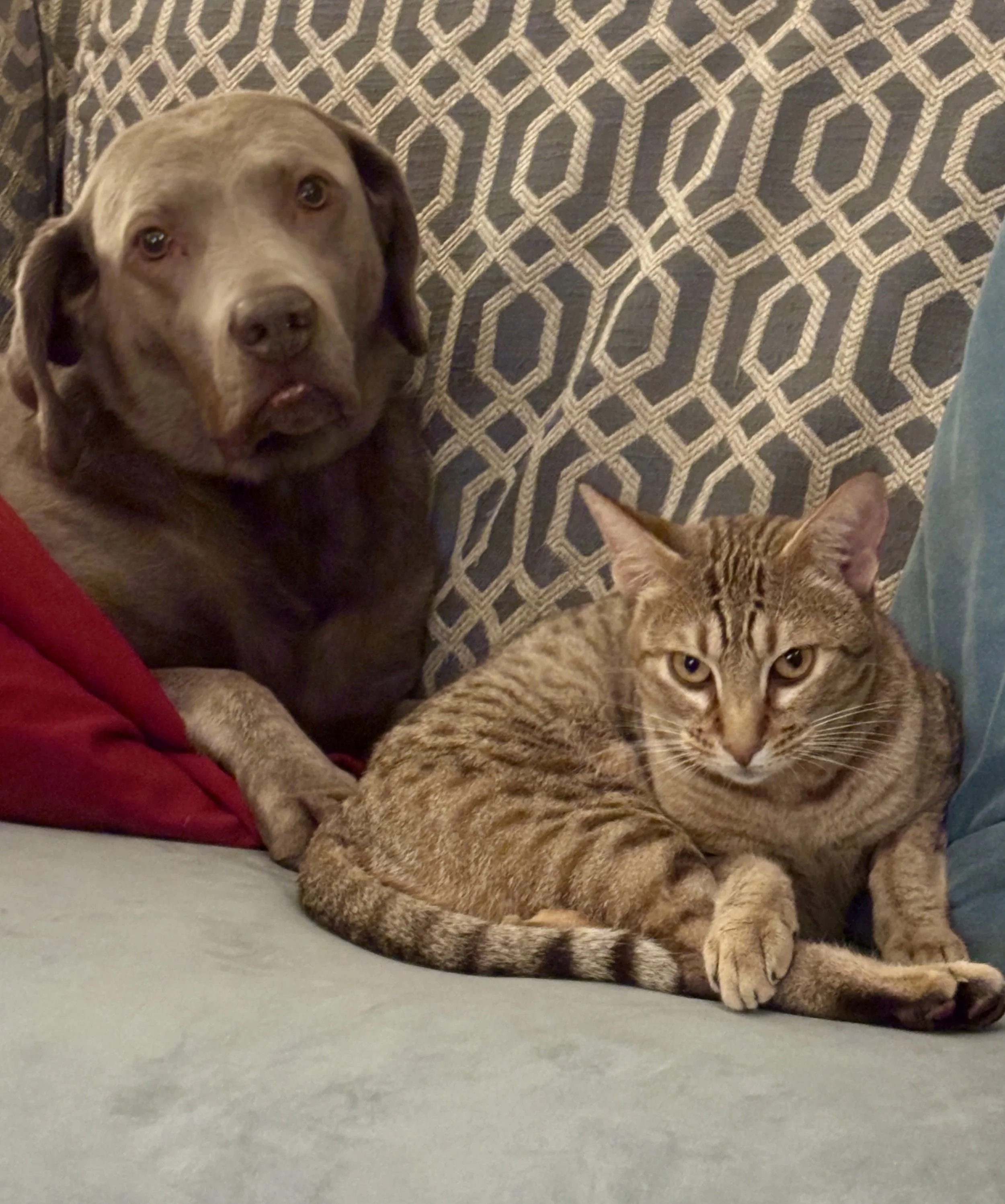 IMG_2843.JPEG