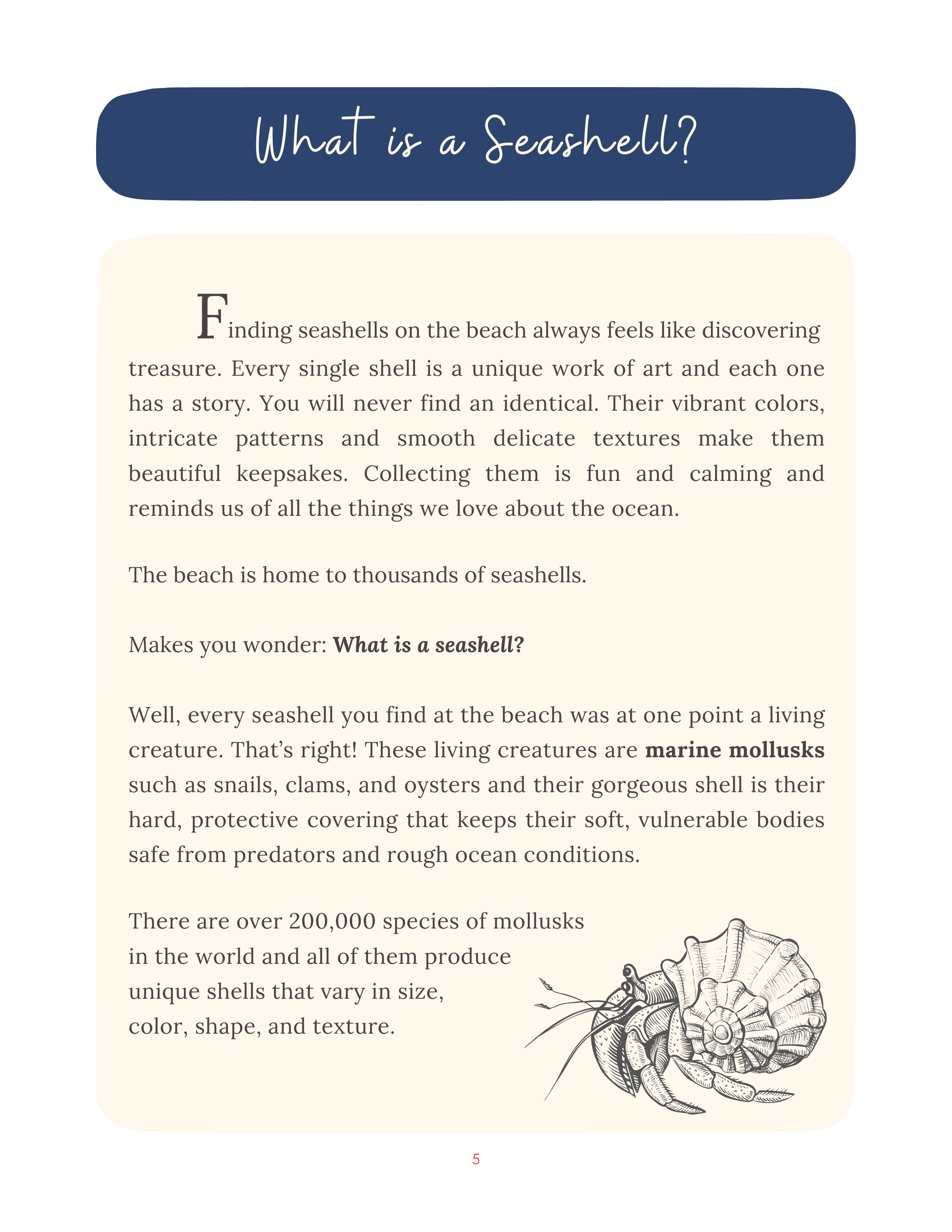 Seashell Science Exploring the Wonders of Shells (6).png