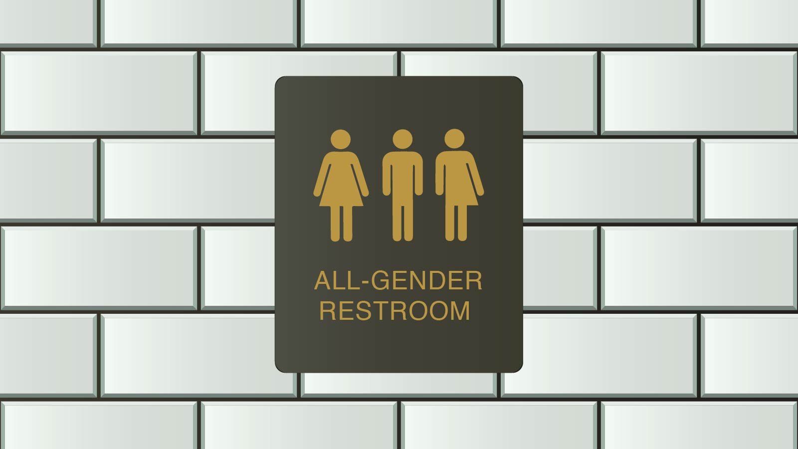 Dad, are boys and girls the same?
