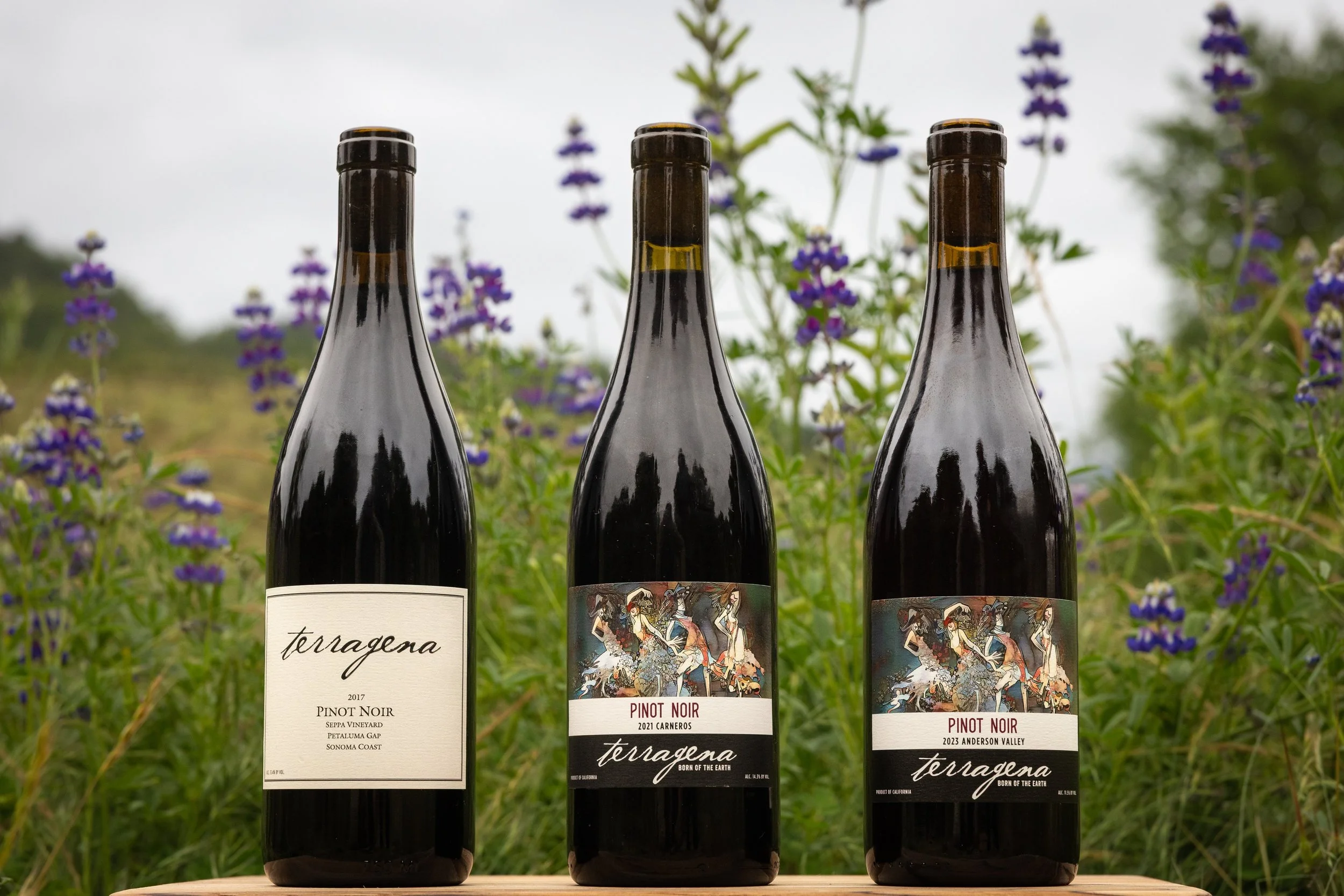 Selection of Pinot Noir by Terragena Wine