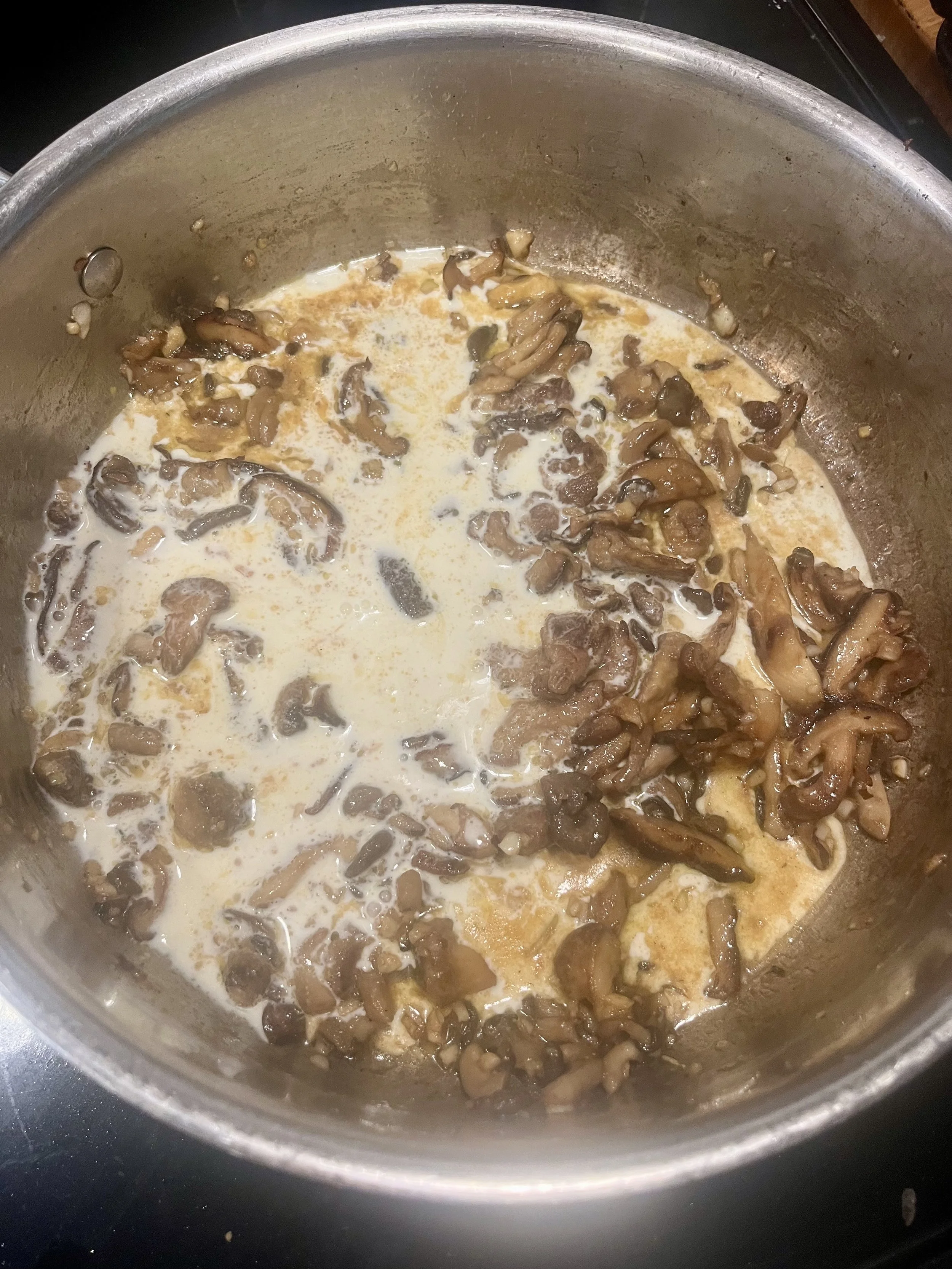 Add Cream. Miso Mushroom Pasta for Terragena Wine 2021 Los Carneros Newsweek Wine of the Year Recipes and Pairings 