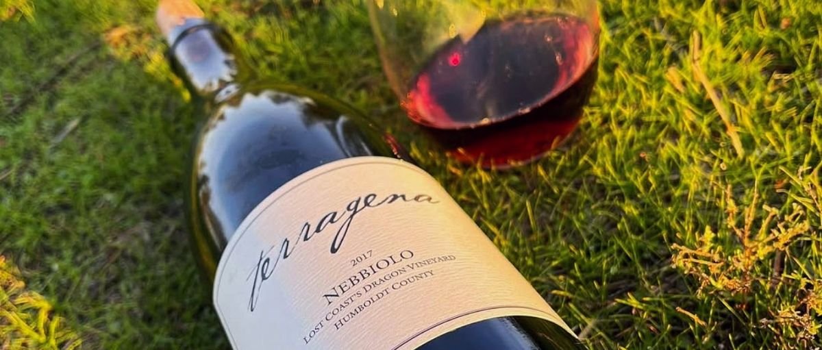 Terragena Wine 2017 nebbiolo