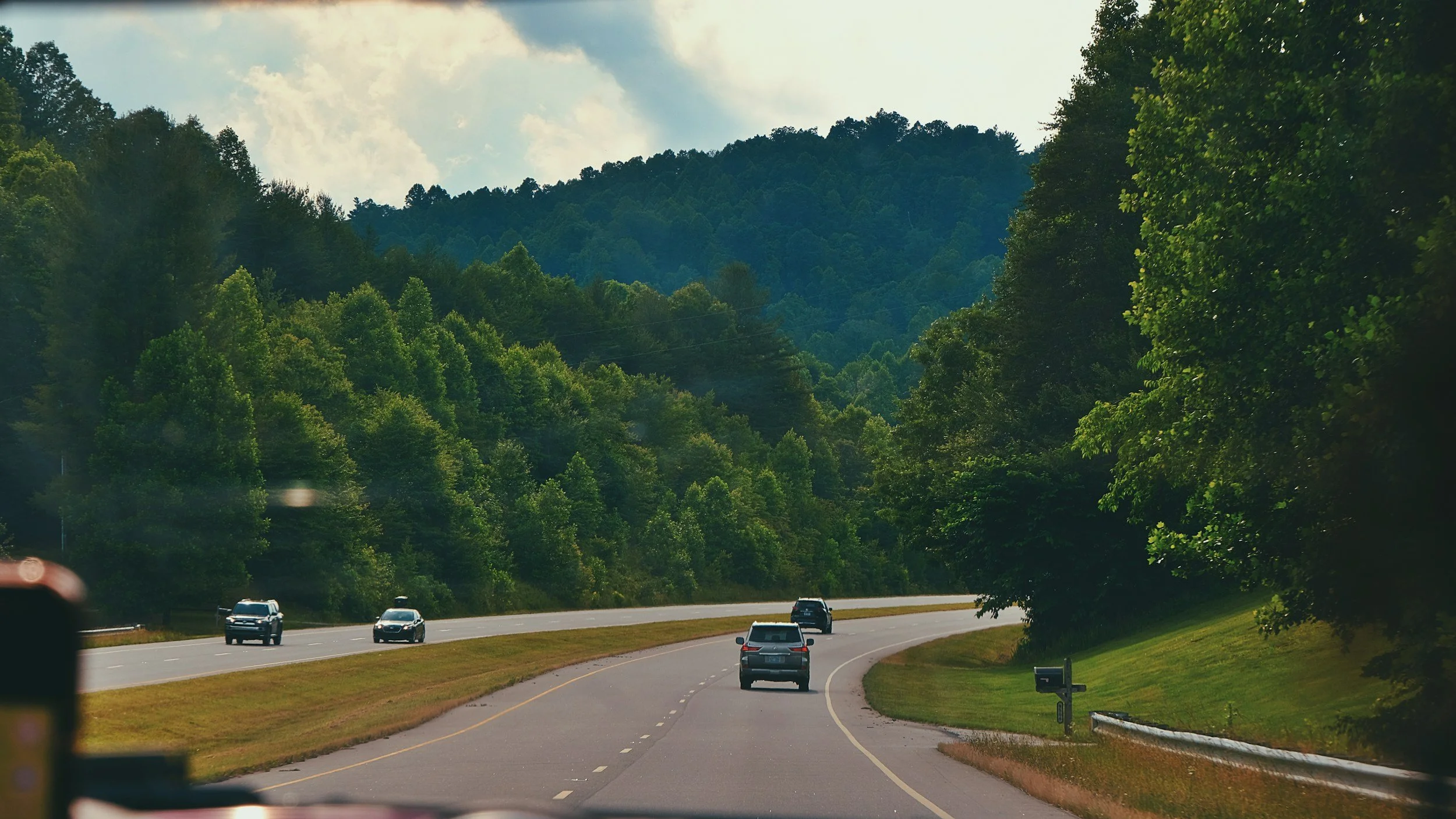 A peaceful tree-lined road in North Carolina surrounded by lush greenery and soft morning sunlight, symbolizing the journey to EMDR intensive therapy in Raleigh.