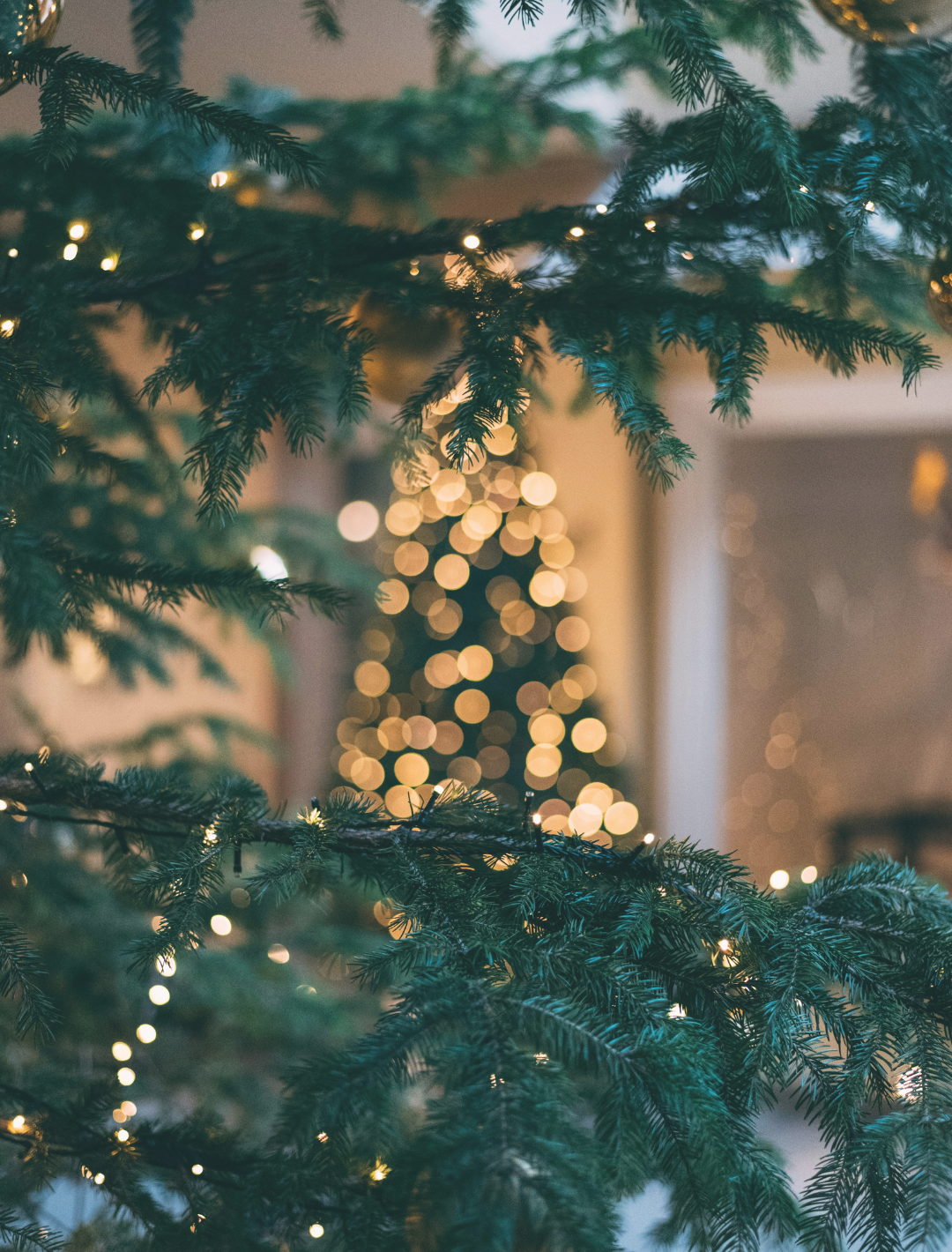 6 Ways to Stay Out of Overhwhelm This Holiday Season