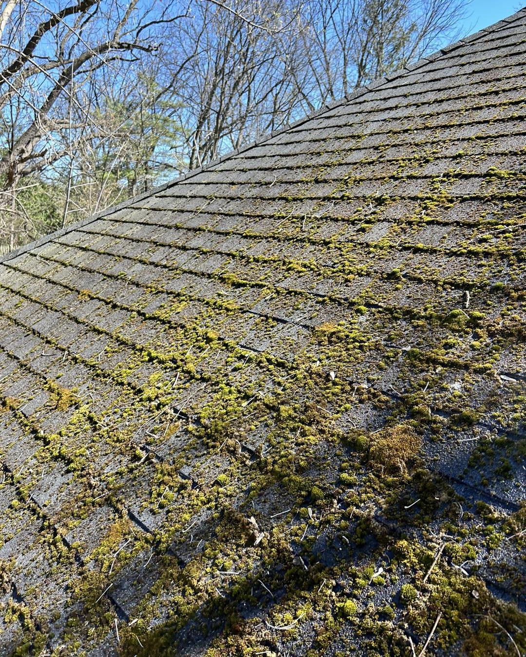 Did you know we offer &ldquo;roof washes&rdquo;?

Removing a mini jungle off your roof may be intimidating&hellip; 

What products do you need? Can it be pressure washed? Will it come off right away? Does it protect my roof?

Have Super Clean Windows