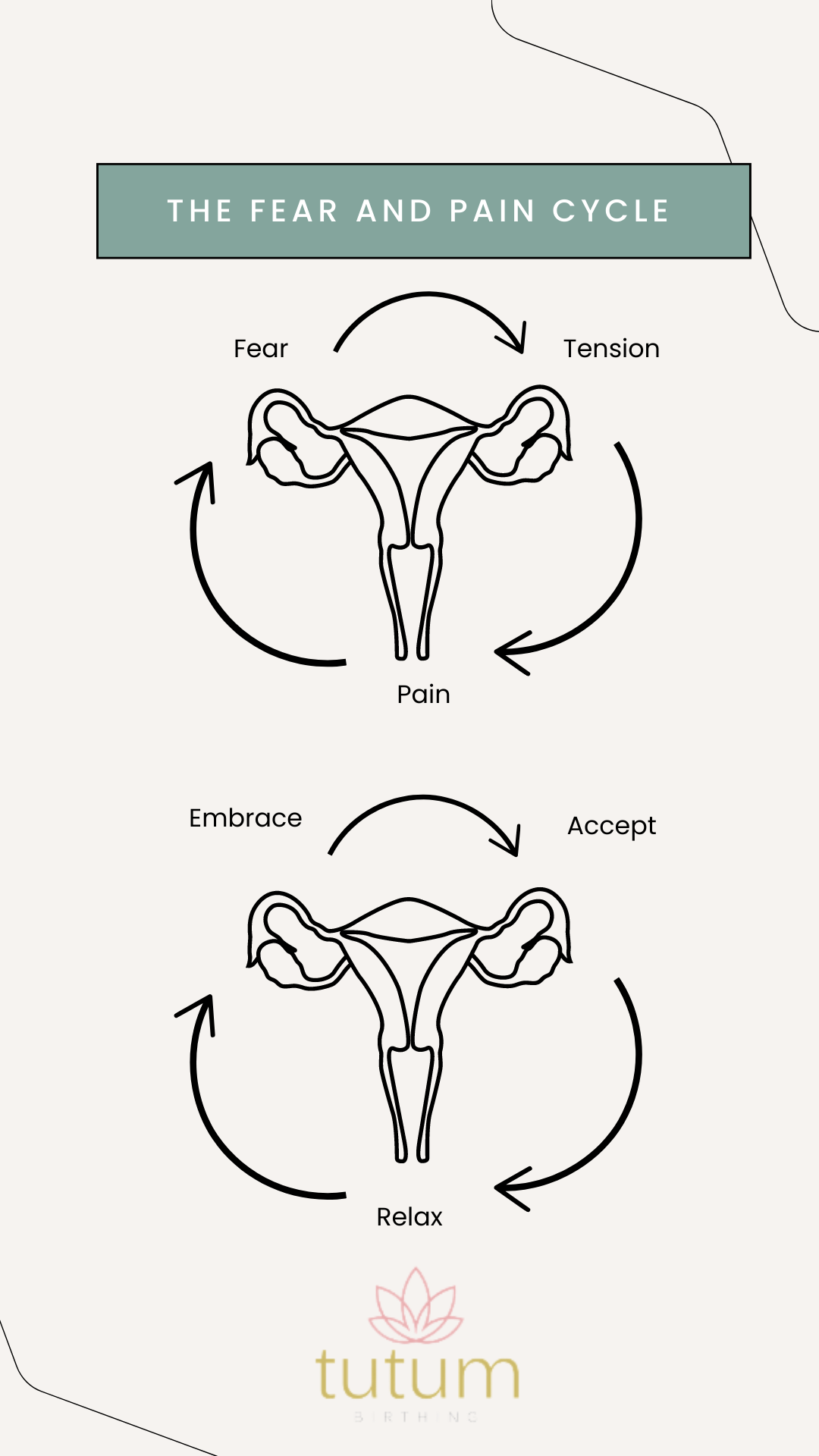 Diagram illustrating the fear and pain cycle and its positive counterpart in birth, featuring two uterine illustrations with arrows cycling between states such as fear, tension, pain, embrace, accept, and relax.