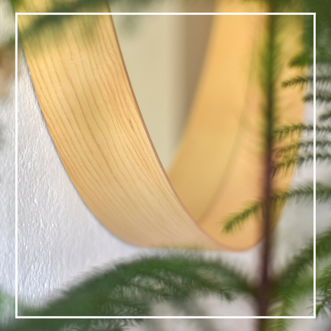 Mit viel Liebe zum Detail versch&ouml;nern wir unser Haus, damit auch Sie sich wohlf&uuml;hlen.✨ Eine schmuckvolle Zimmertanne ziert den Gang im ersten Stock direkt neben dem kreisrunden Spiegel.​​​​​​​​
​​​​​​​​
We embellish our house with a lot of 
