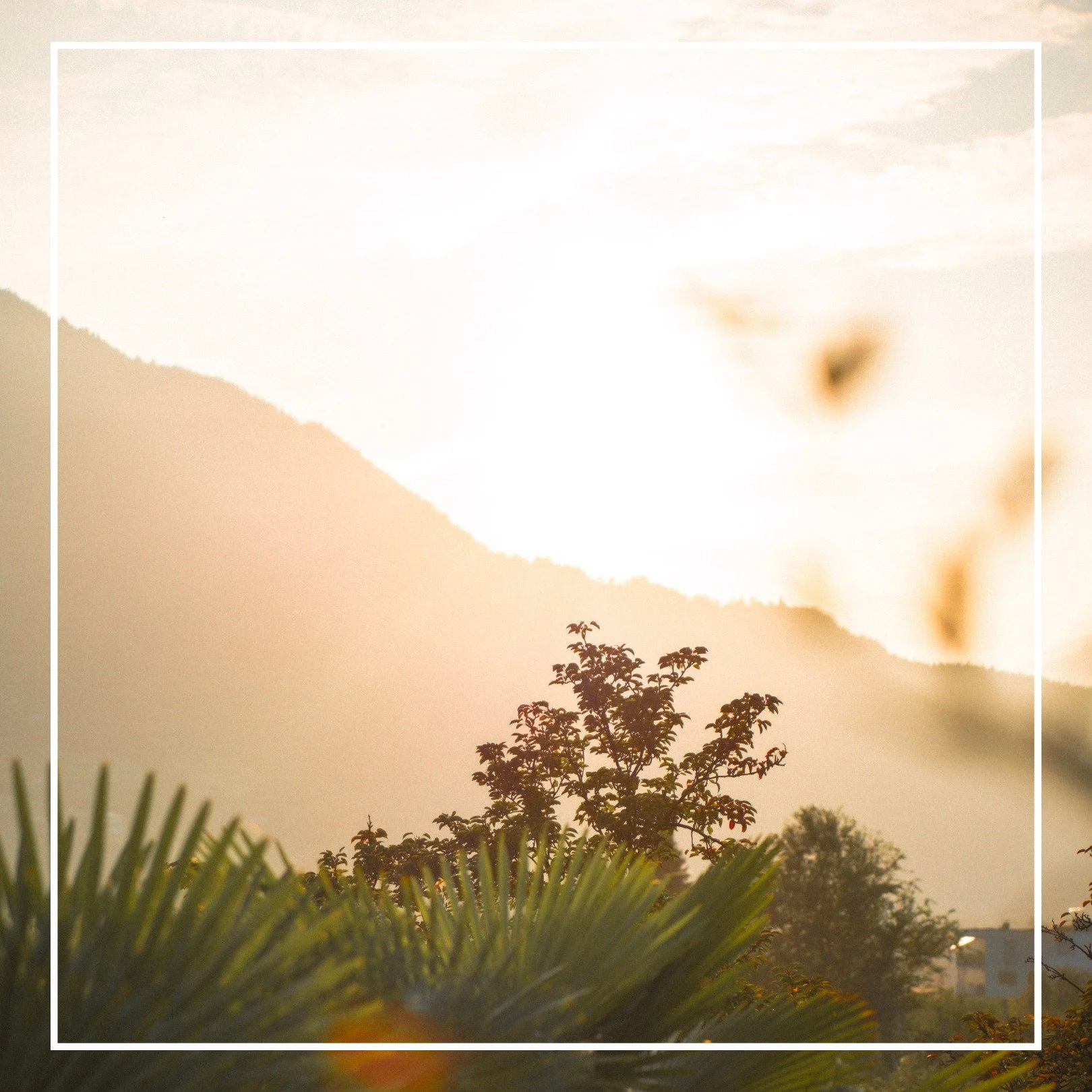 Den Sommer in Meran mit seinem mediterranen Flair muss man einfach erlebt haben. Zwischen Palmen und Bergen laue Sommerabende genießen, die letzten Sonnenstrahlen auffangen und sich im entspannten Ambiente der Kurstadt bei einem Sundowner ü