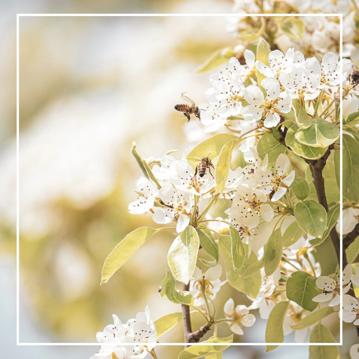 Nicht nur der Frühling ist erwacht, sondern auch das Walburg!🌸 Bei uns trudeln die ersten lieben Gäste ein und füllen das Haus wieder mit fröhlichem Gelächter, teilen am Frühstückstisch aufregende Geschichten mit u