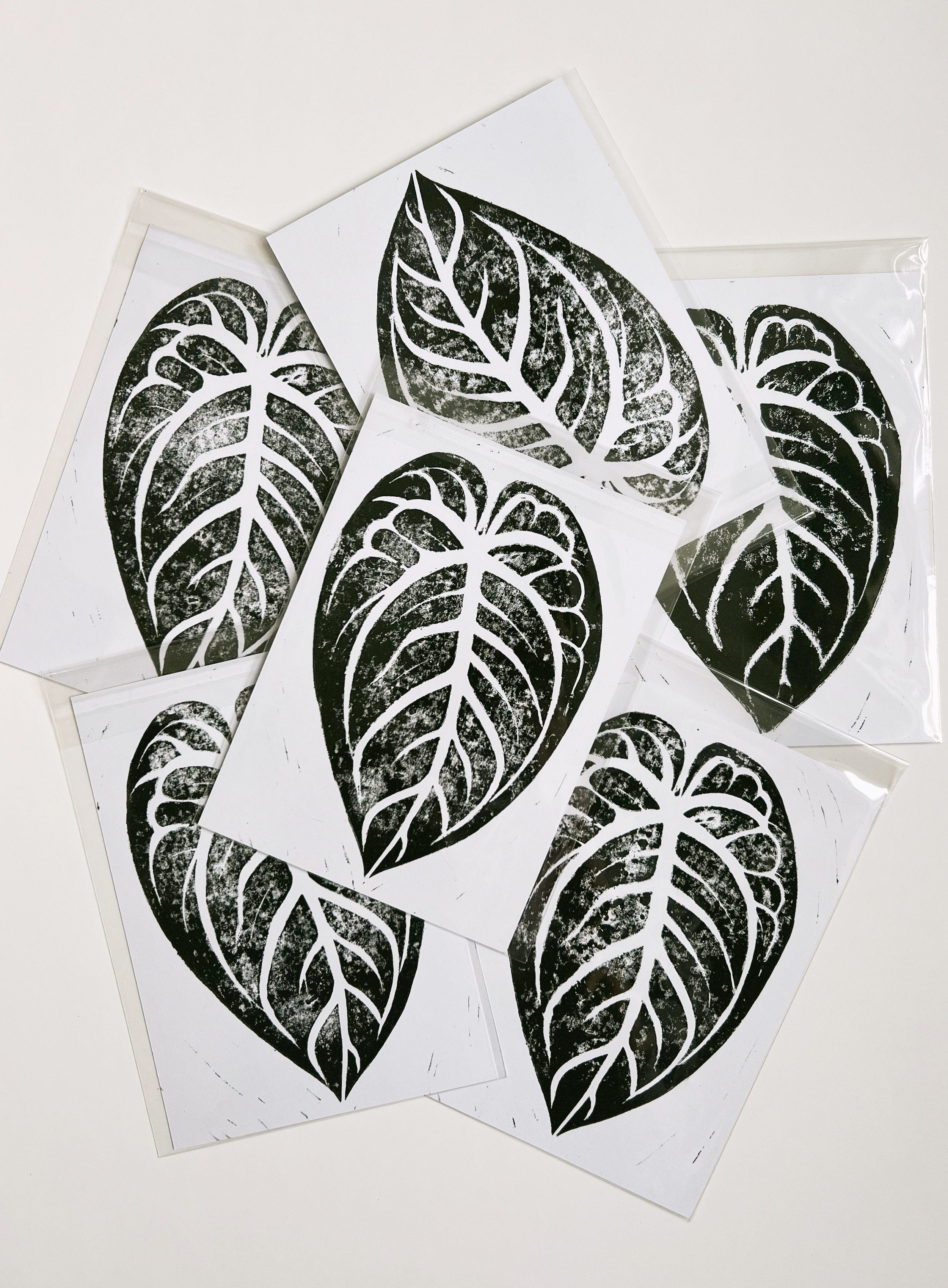 Anthurium Crystallinum Print