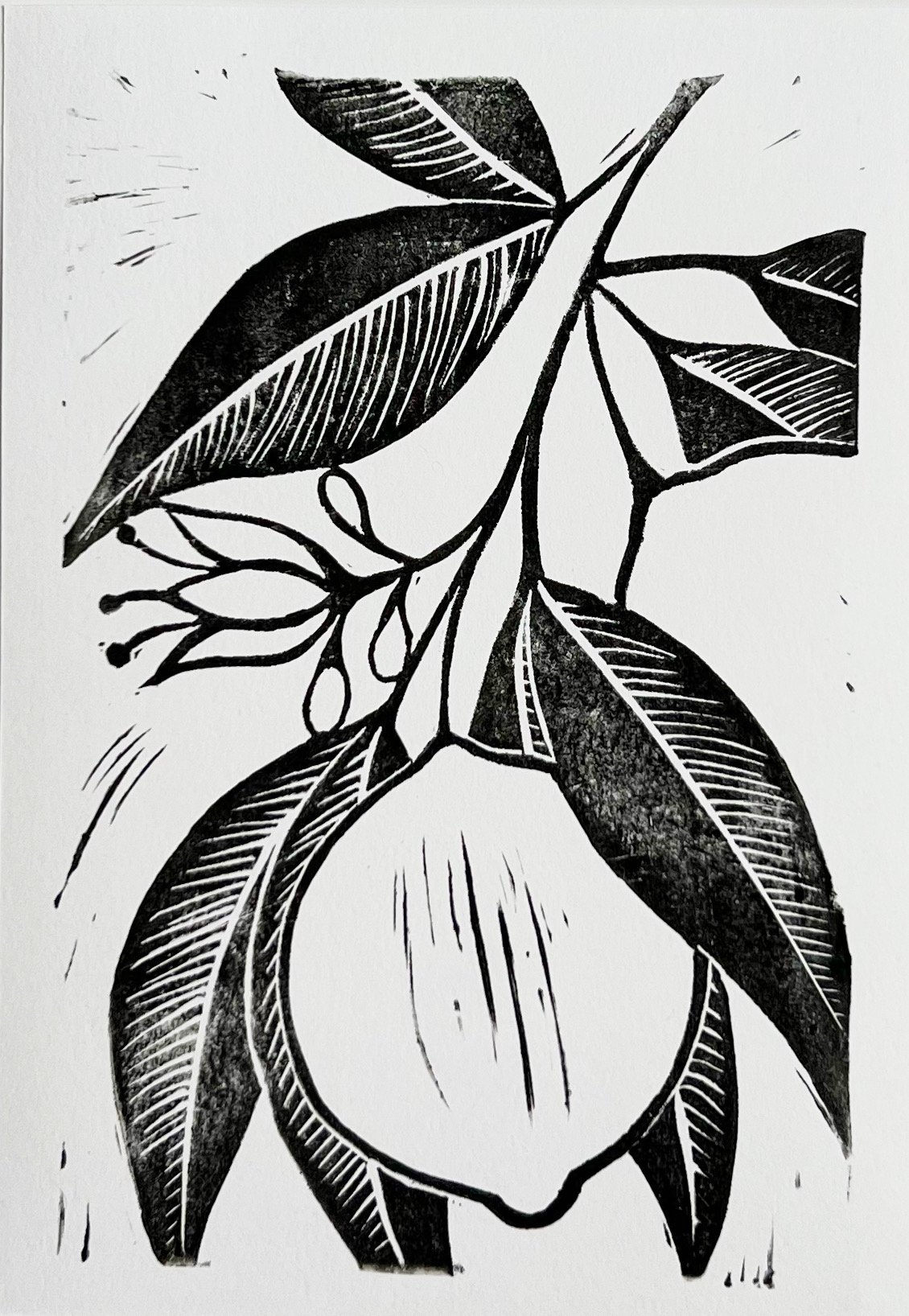 Lemon Print