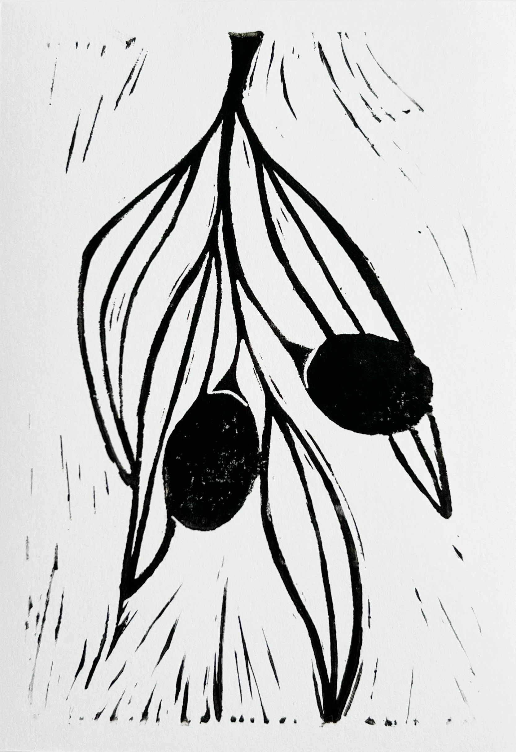 Olive Branch Print