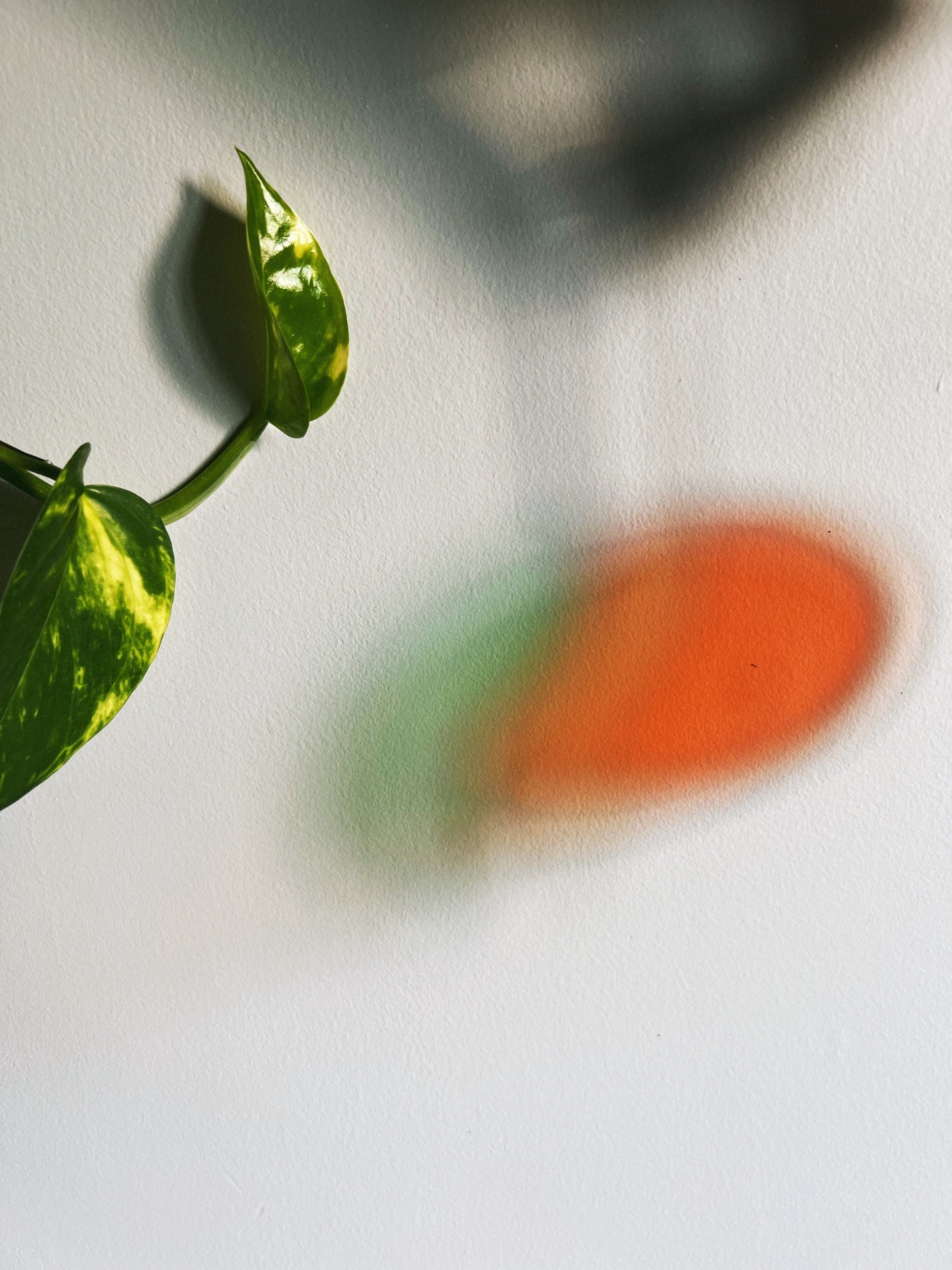 46F77103-85A3-45B5-9C3A-9EB7592A400F.jpeg
