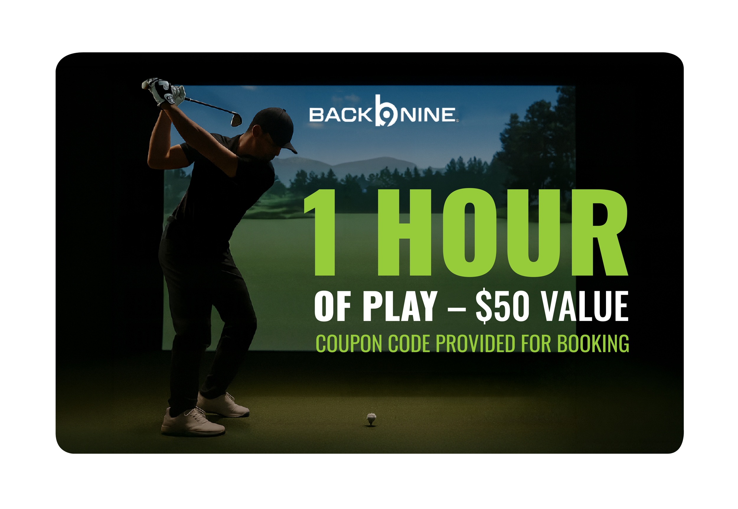 The Back Nine Golf - 1 hour of play ($50 value)