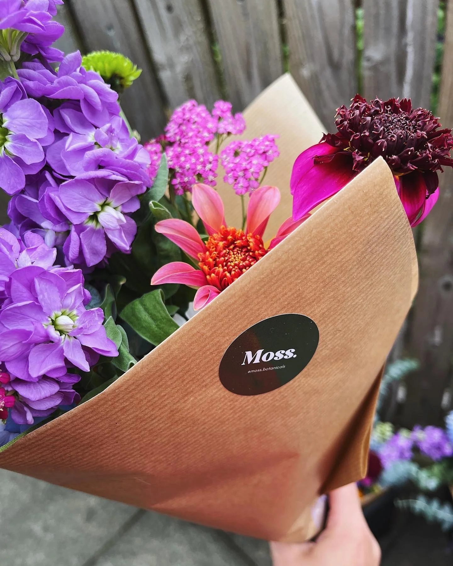 Shop — Moss Botanicals Edinburgh