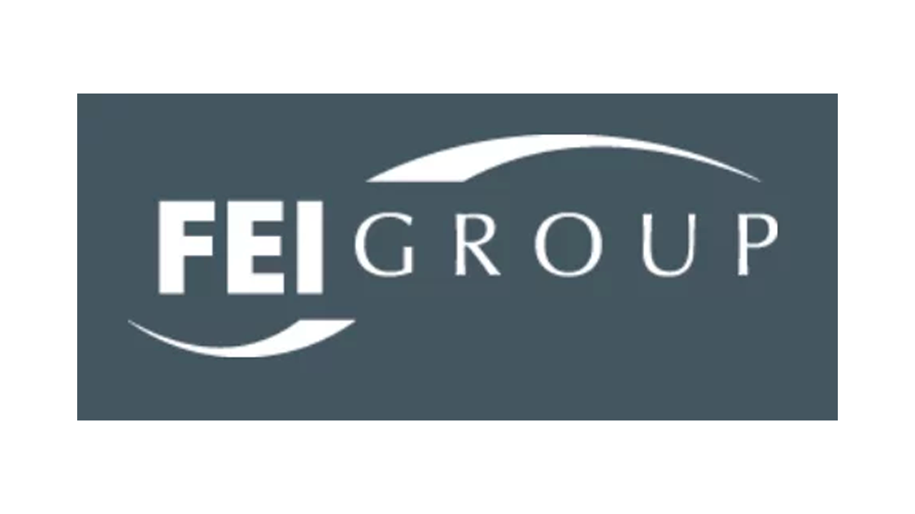 Logos_0002_FEI-Group.png