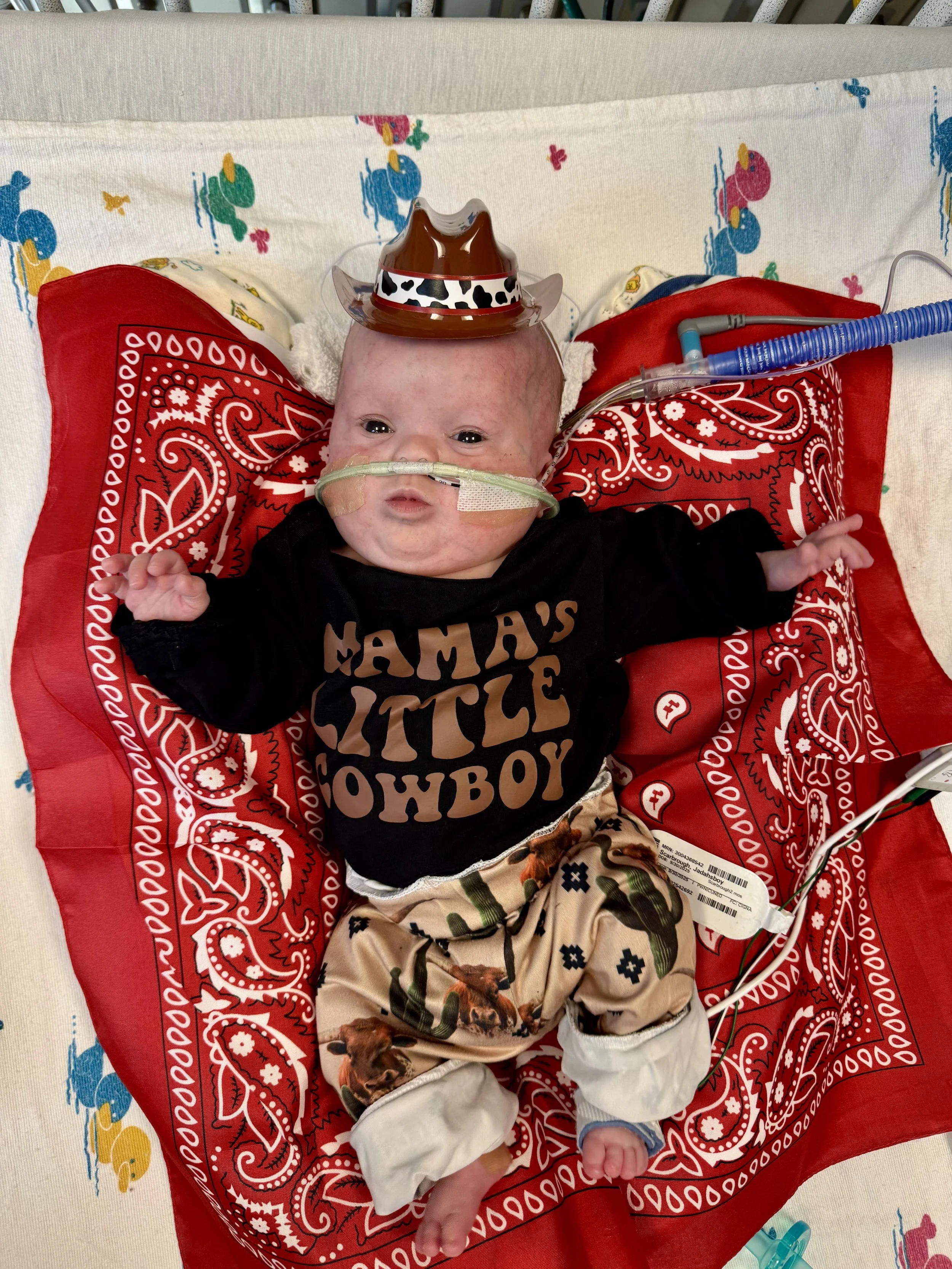 jadah.jadah@aol.com 3.4.26 (1).jpeg