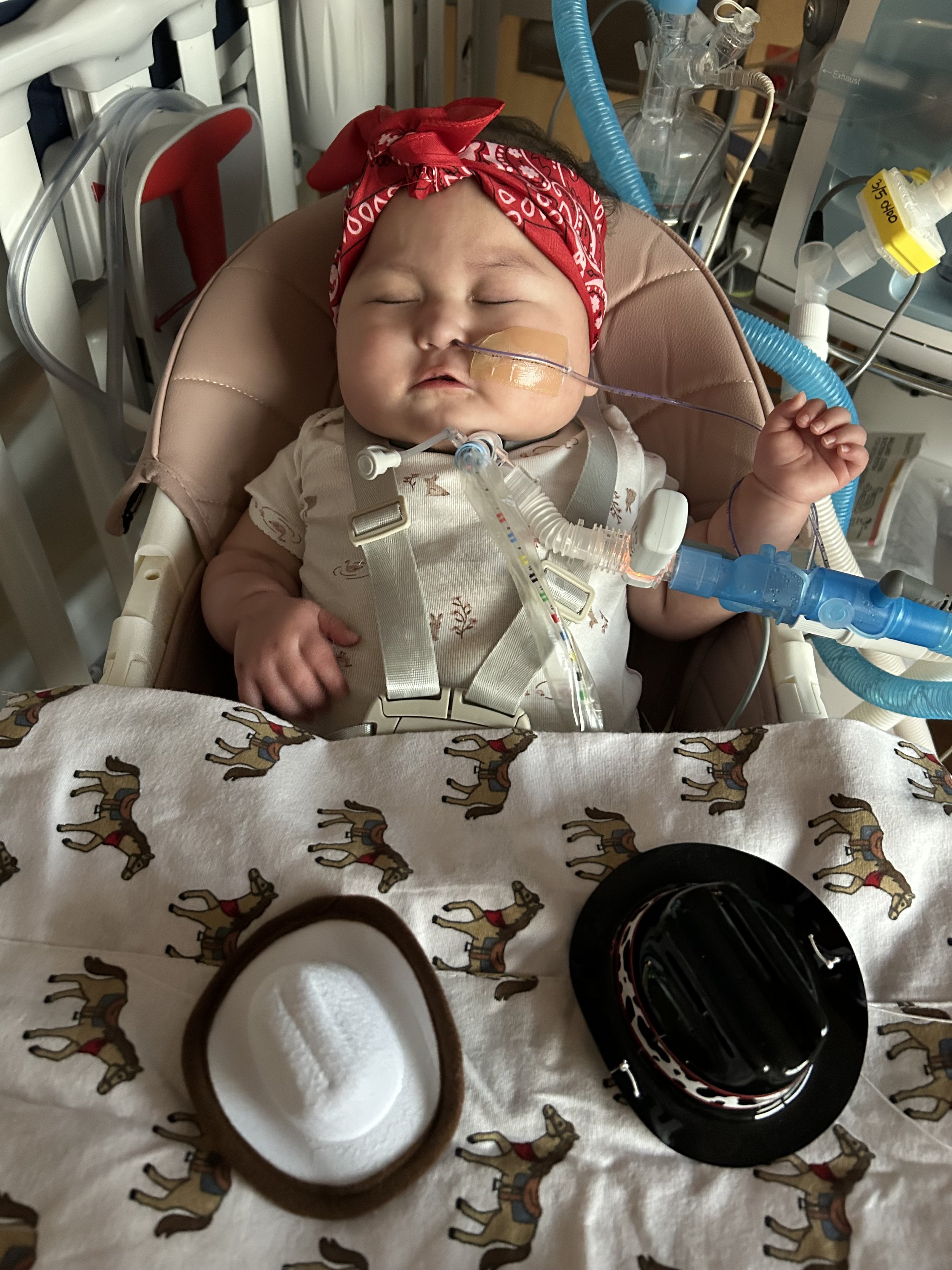 virginiamts@icloud.com 3.5.26.jpeg