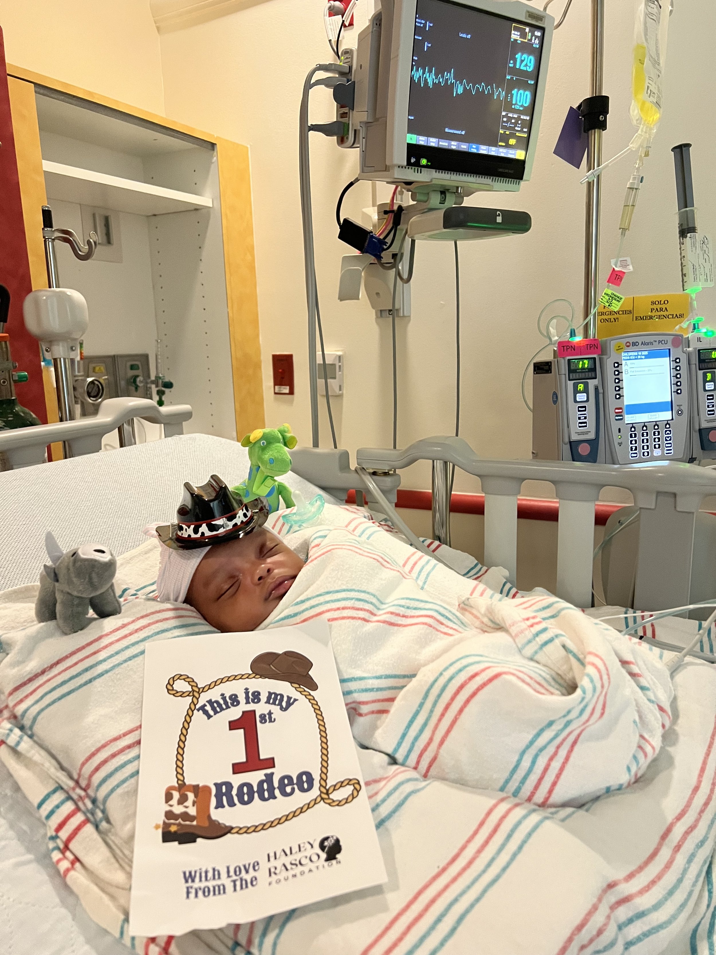 dolphinlimo@gmail.com 3.4.26.jpeg