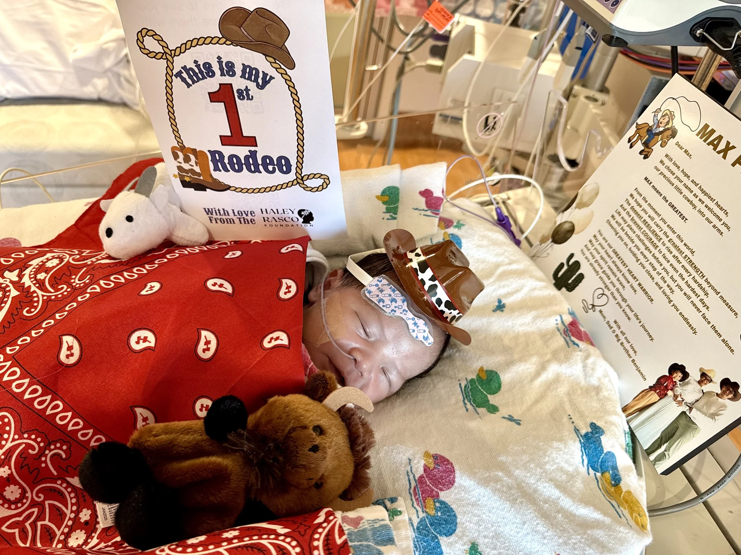 maxphambui@gmail.com 3.12.26.jpeg