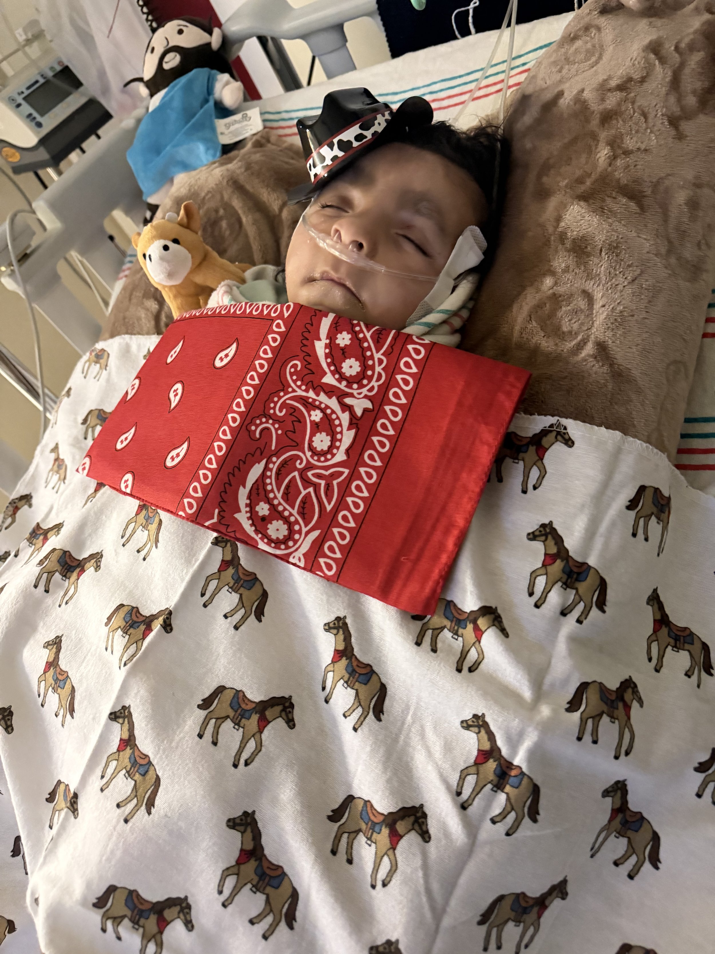 alejandra_esqueda@yahoo.com 3.3.26.jpeg