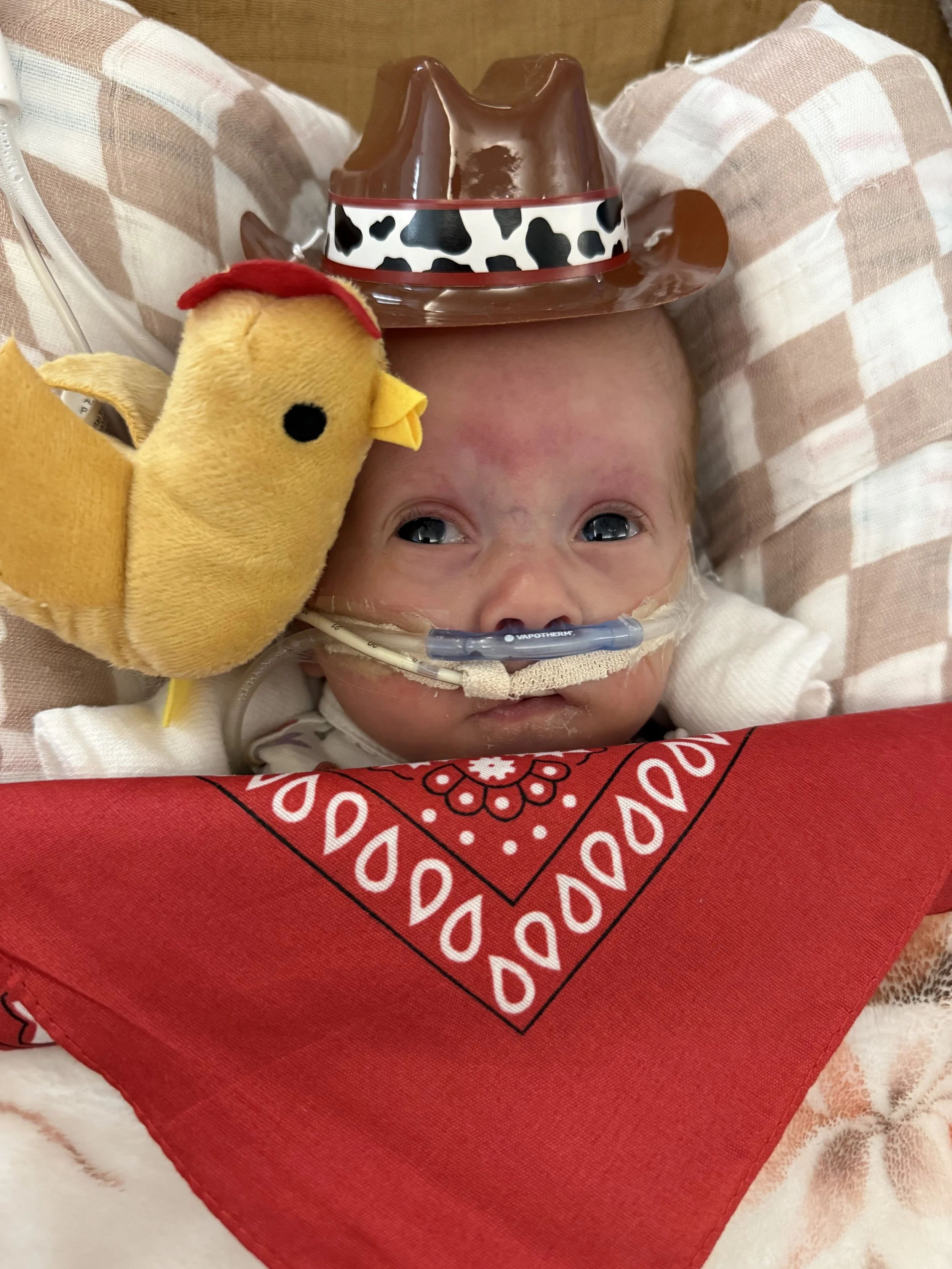 annabelle.torres@hotmail.com 2.28.26.jpeg