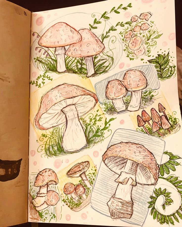 Mushroom page 🍄.jpg