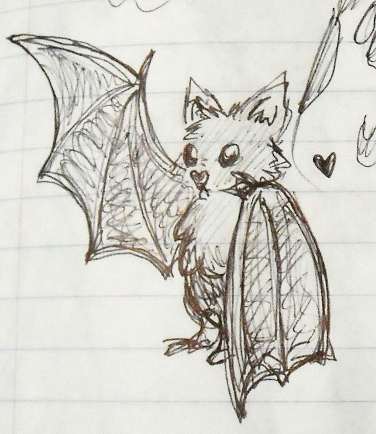 Bat drawing.jpg