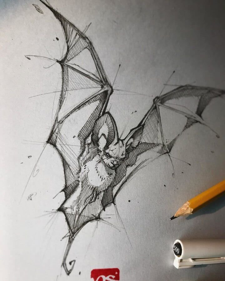 Ink and Pencil Animal Drawings_.jpg