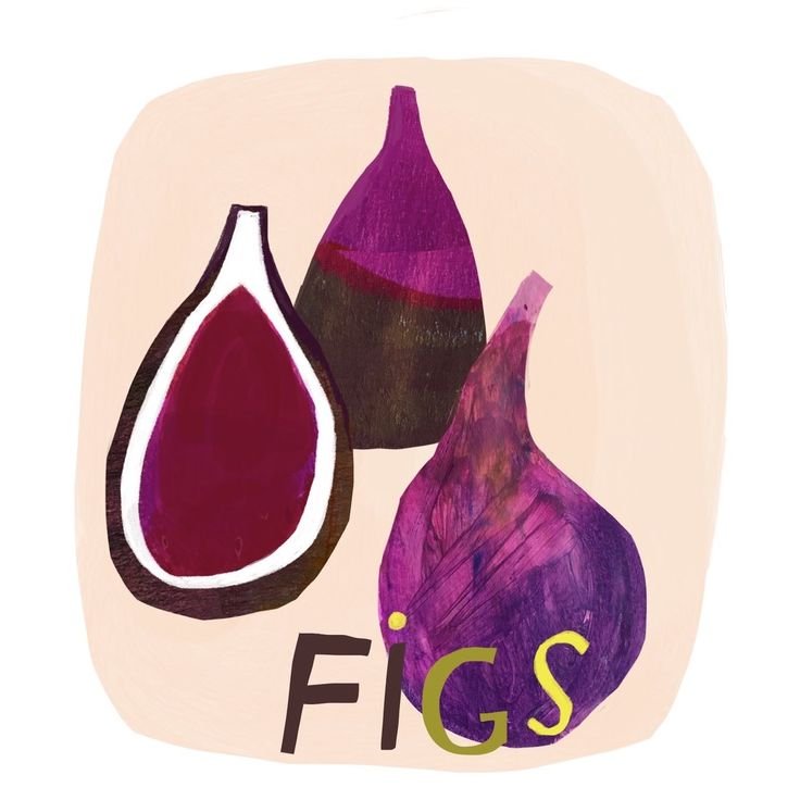 Figs food illustration by Colleen Harrington.jpg