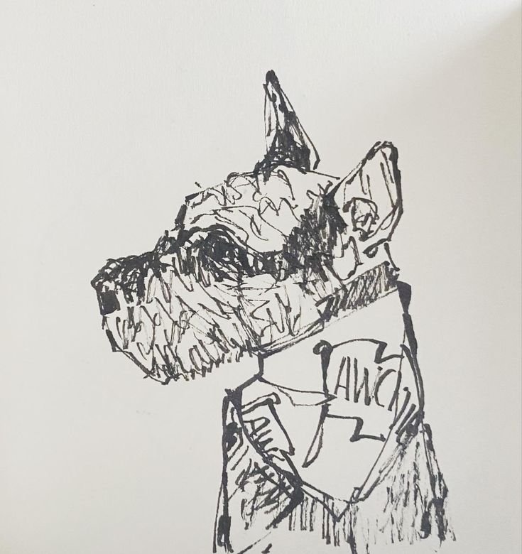 Archie from FOLKTAILS PETS sketched in ink.jpg