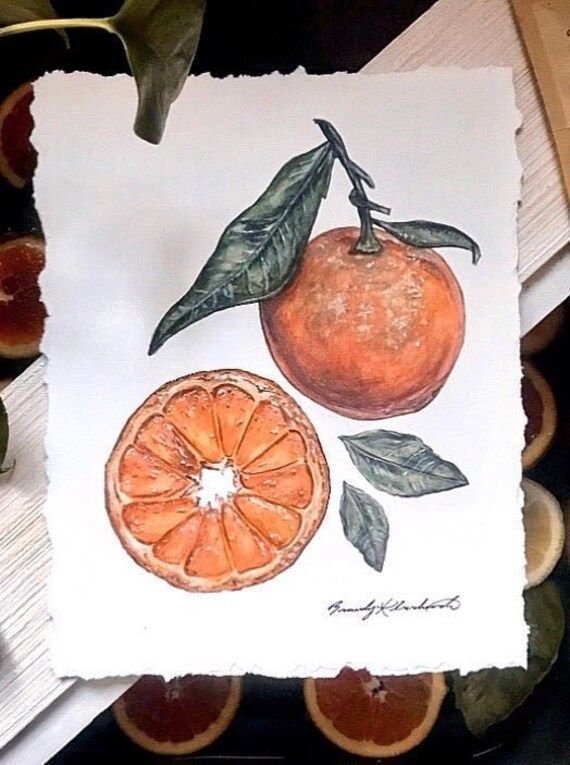 Orange Botanical - Art Print - Watercolor Painting.jpg