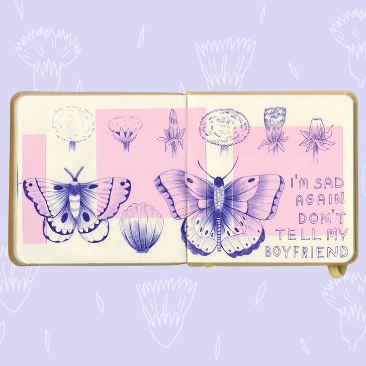 Plant and butterfly illustrations - sketchbook spread.jpg