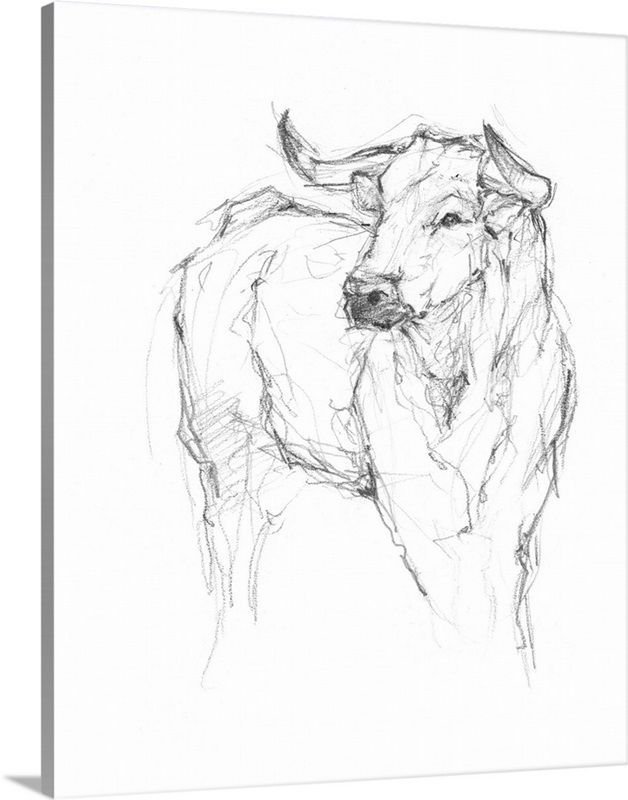 Bull Study I Large Canvas Print Wall Art.jpg