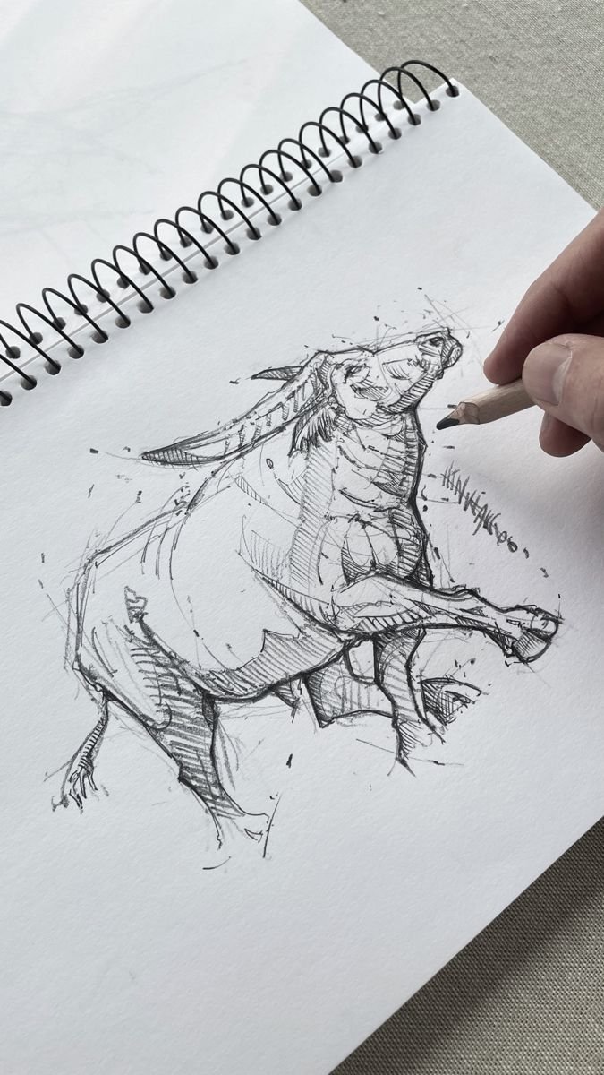 Water Buffalo Sketch.jpg