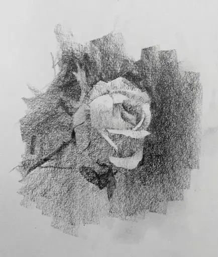 How to Draw a Rose Step By Step Rose Drawing Tutorial.jpg