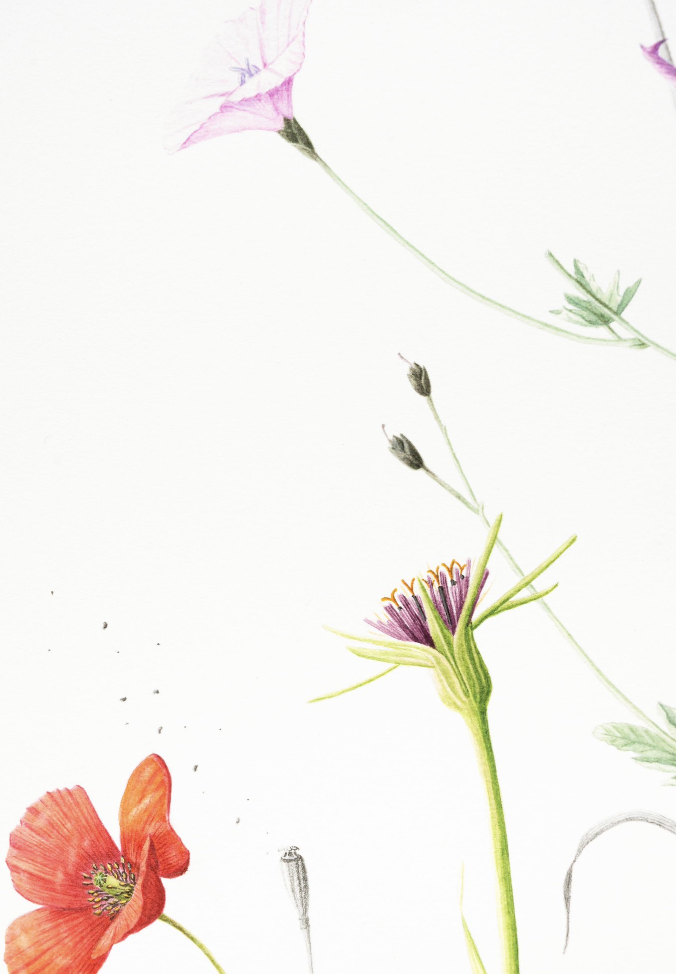 6D534CF6-9909-4DC8-A47B-344F0F3AB5E2.jpeg