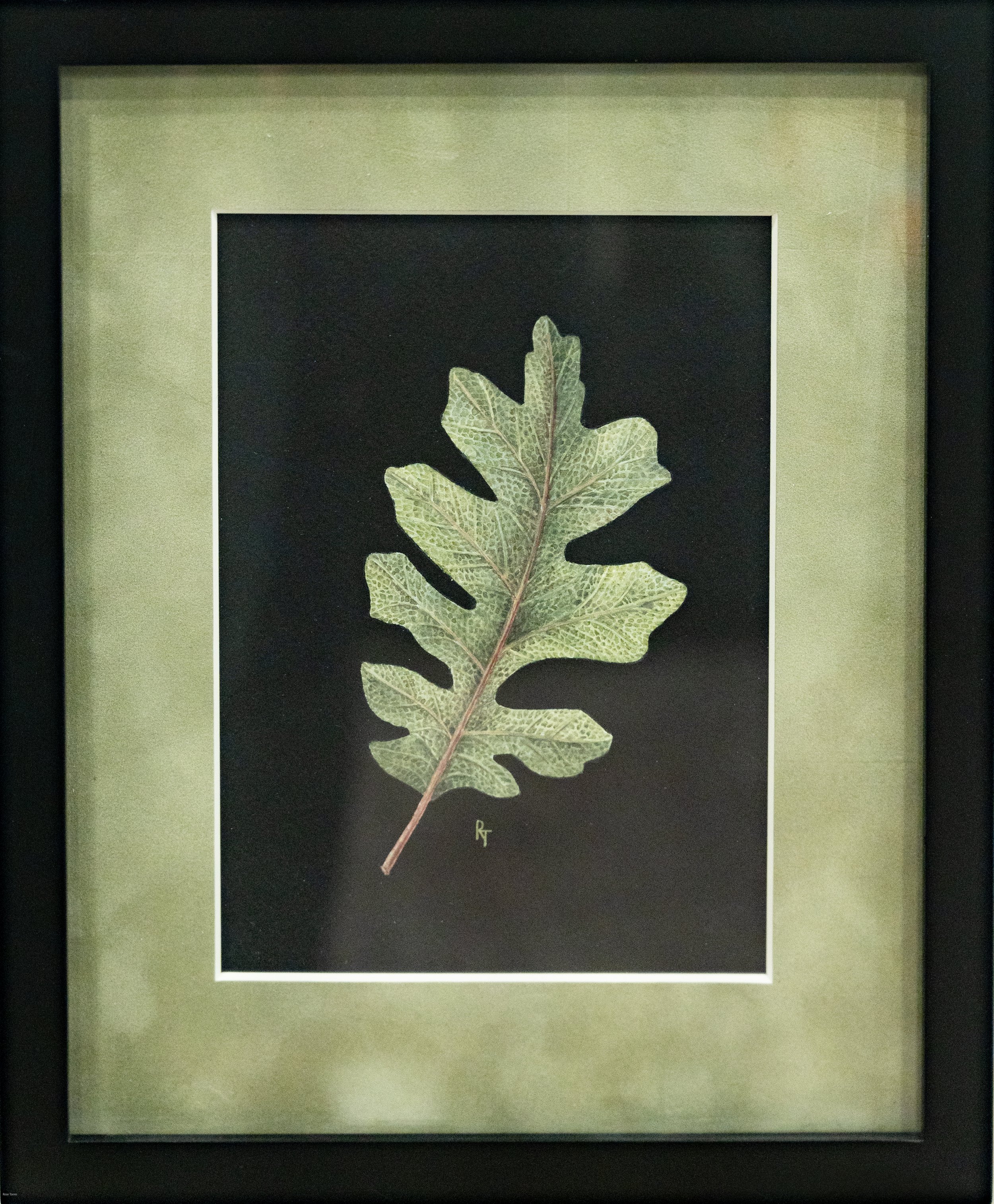 framed oak leaf.jpeg